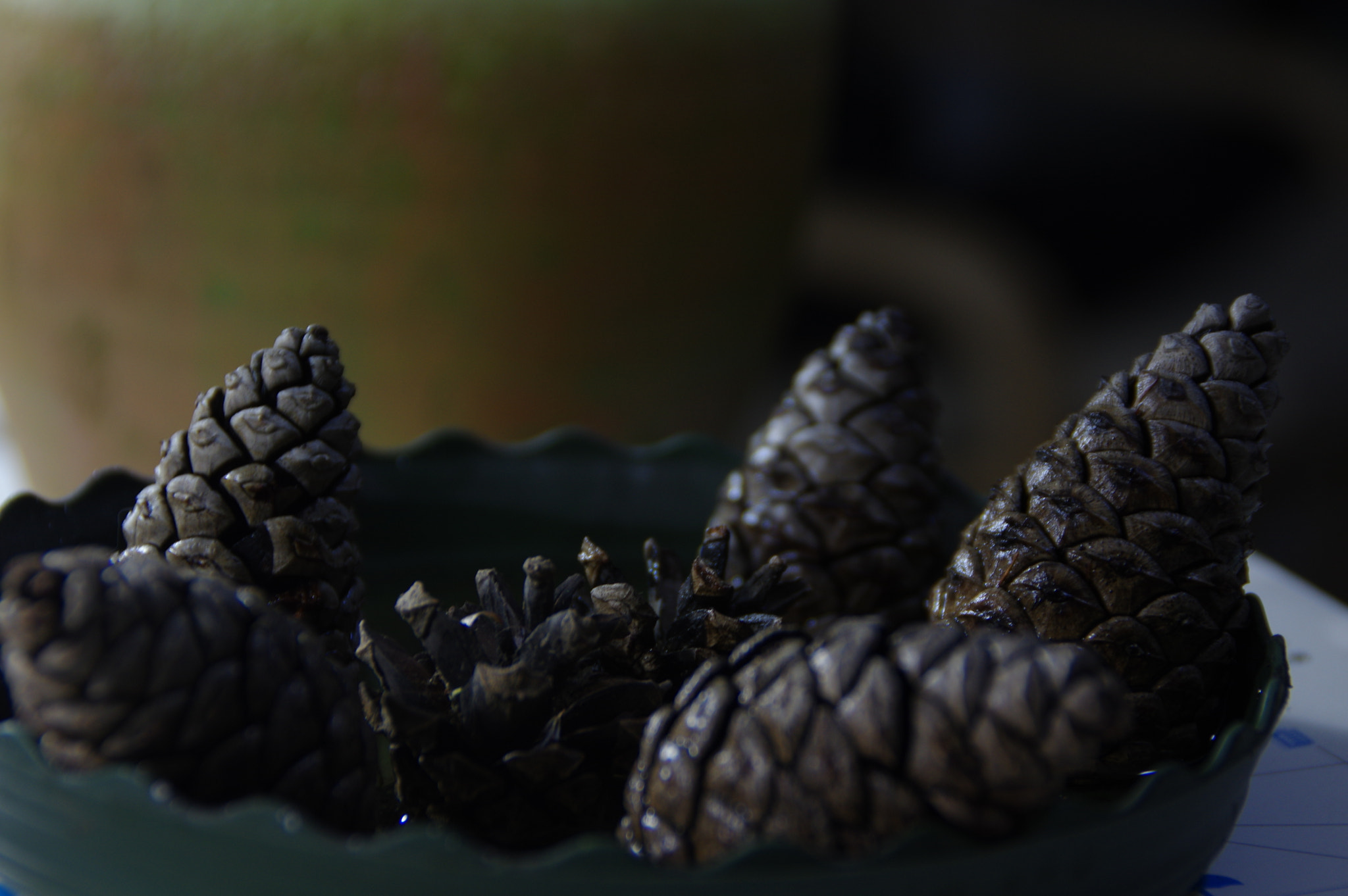 Tamron AF 18-200mm F3.5-6.3 XR Di II LD Aspherical (IF) Macro sample photo