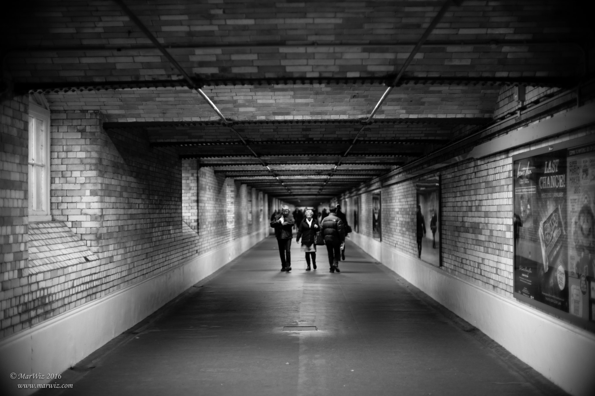 Summicron-M 1:2/50 sample photo. Untitled photography