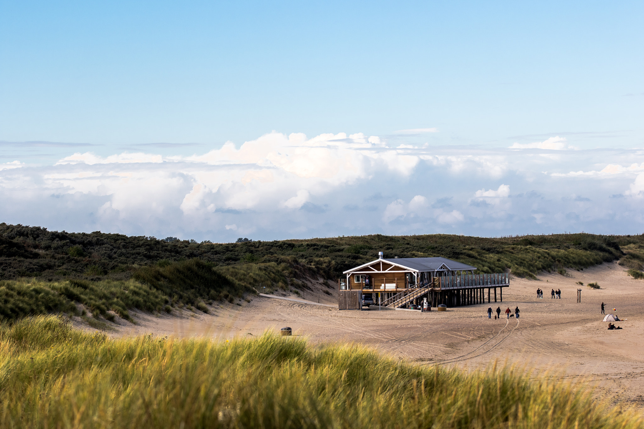 Sigma 105mm F2.8 EX DG OS HSM sample photo. Beach view photography