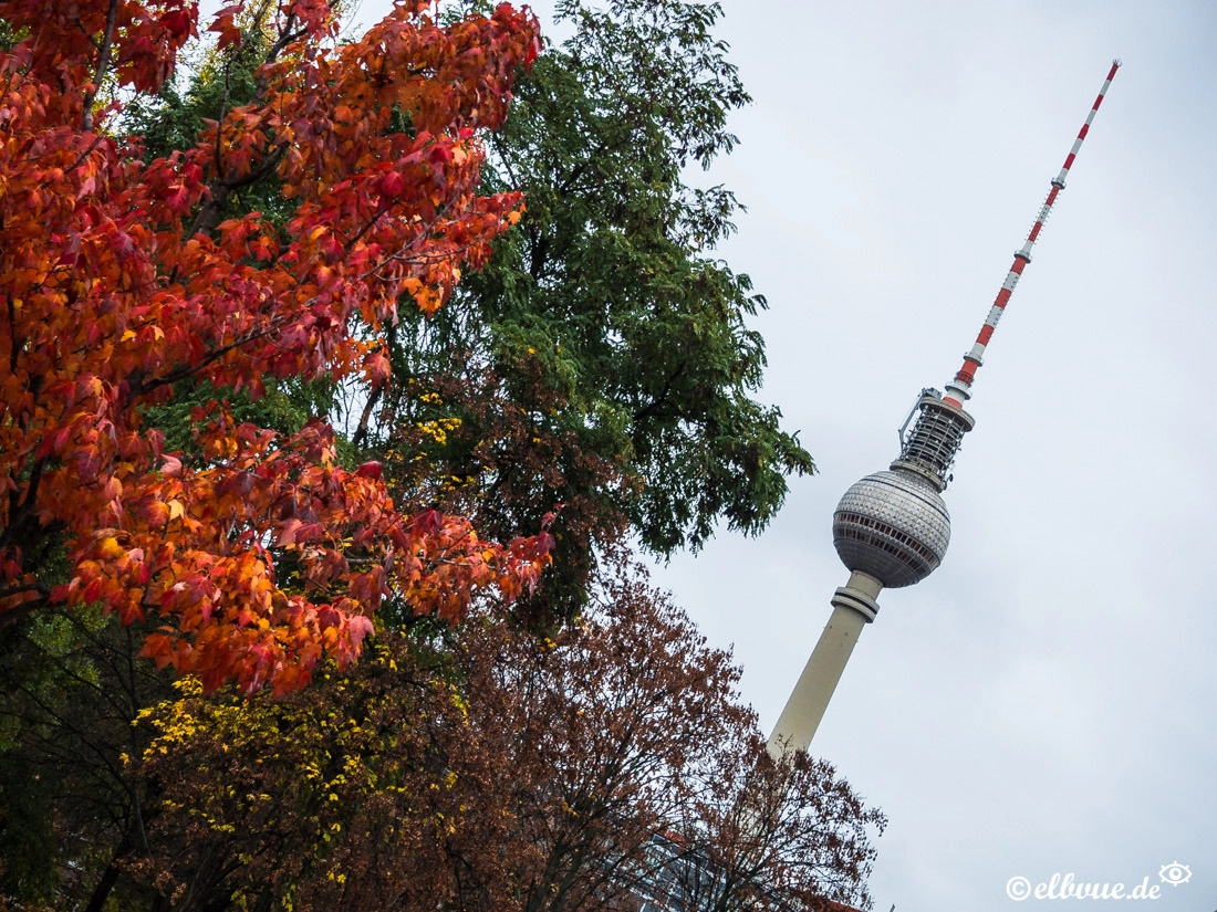 Olympus OM-D E-M10 II sample photo. Berlin im herbst photography