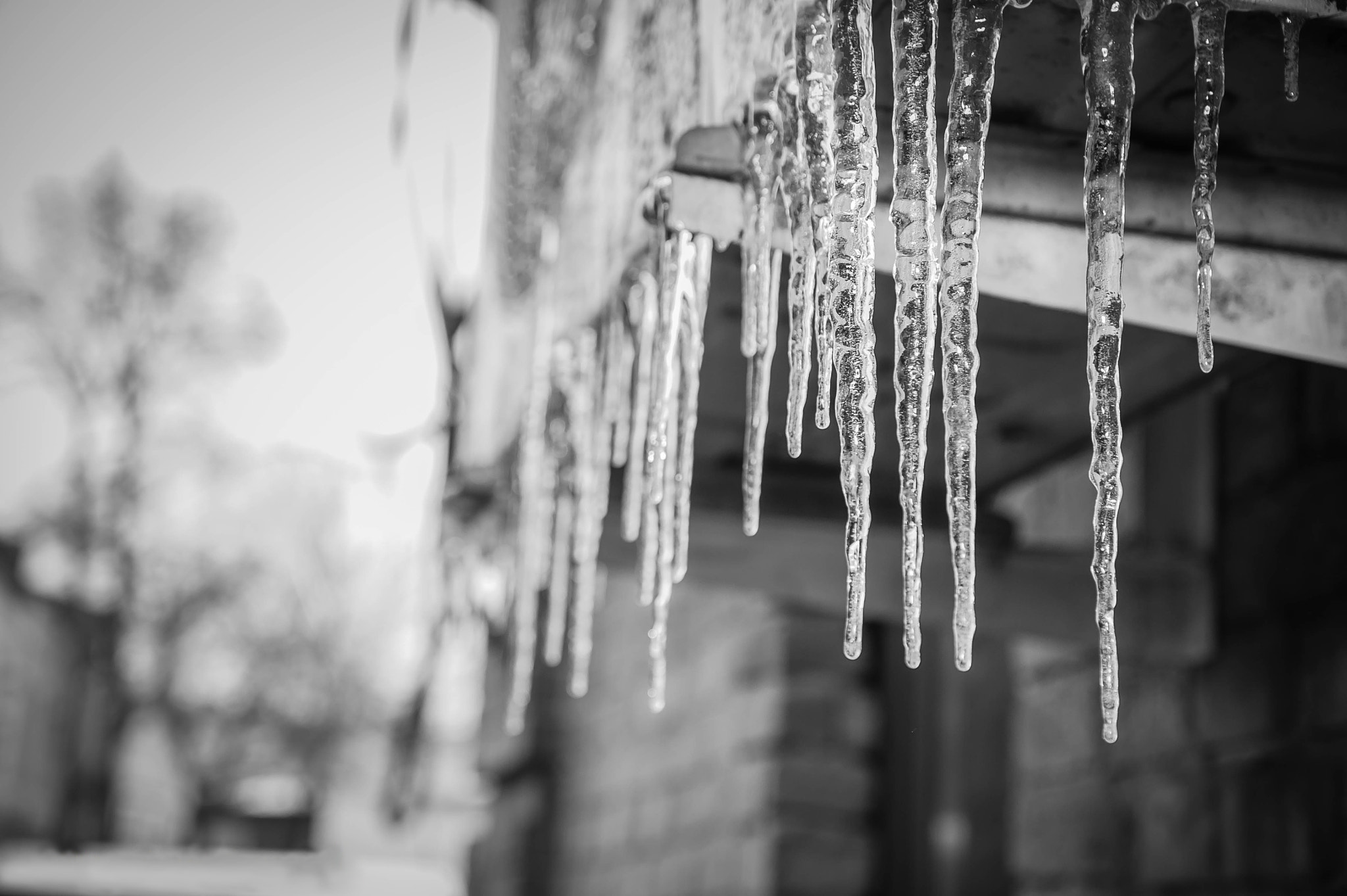 Sony Alpha DSLR-A550 sample photo. Icicles photography