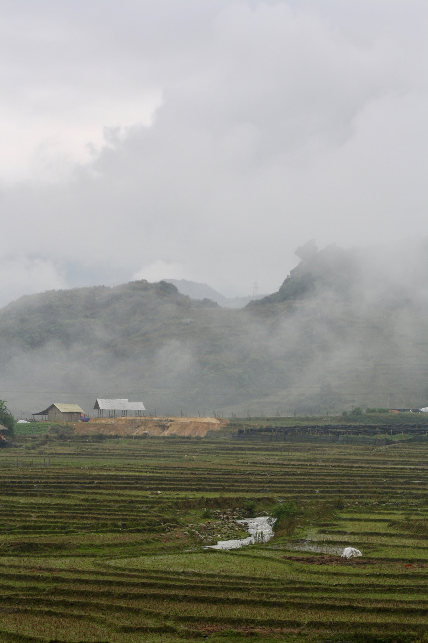 Canon EOS 1000D (EOS Digital Rebel XS / EOS Kiss F) sample photo. Terraced rice fields of sapa photography