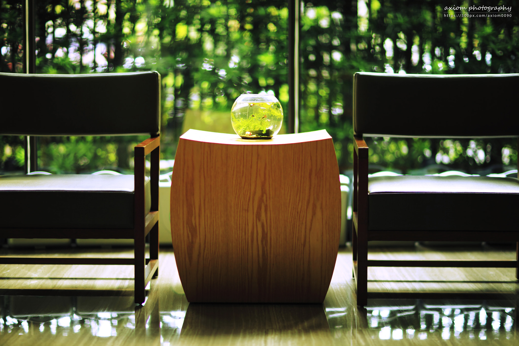 Canon EF 85mm F1.2 sample photo. Green life photography