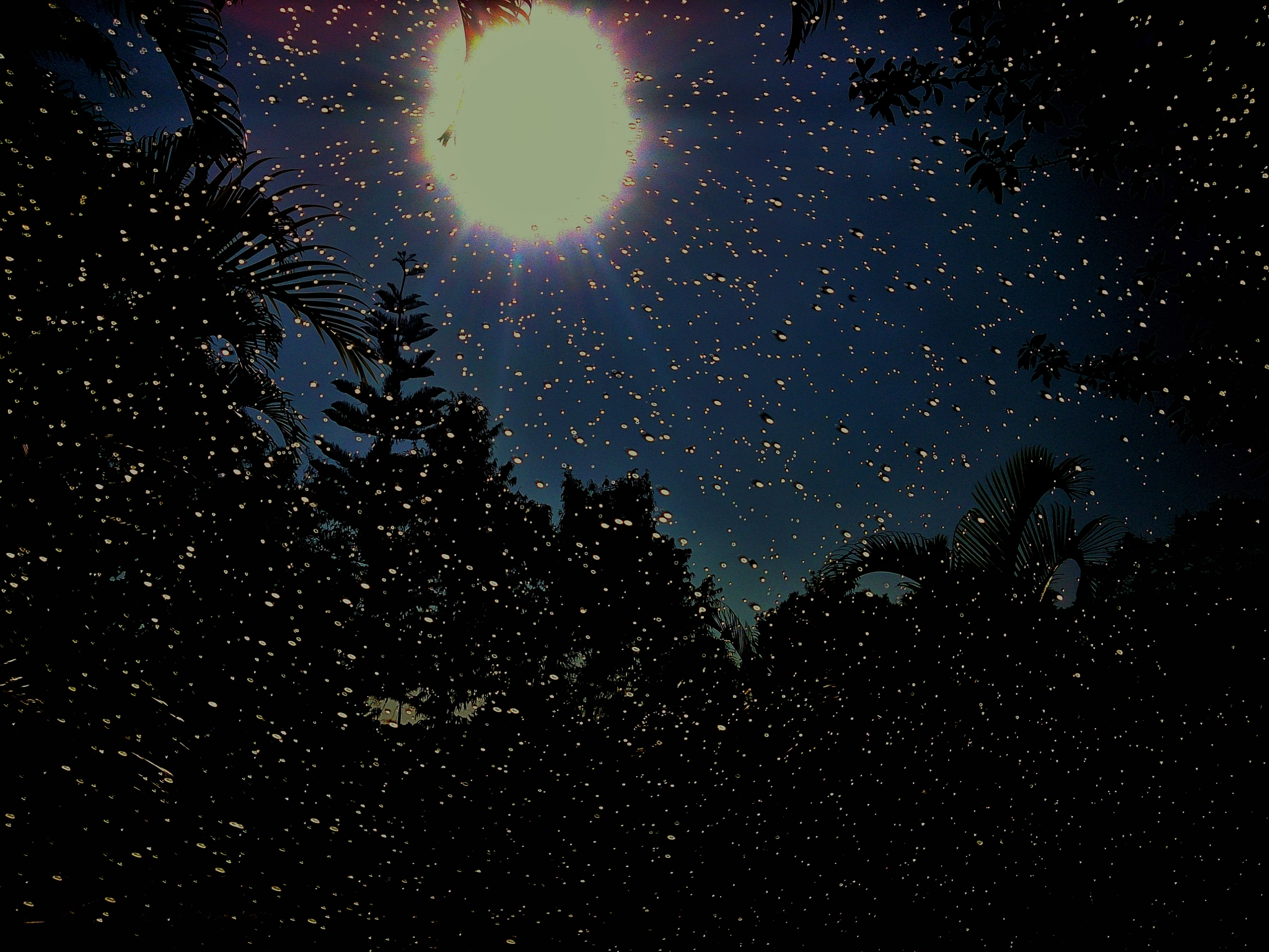 Sony Xperia ZR sample photo. Physics... ain't it! photography