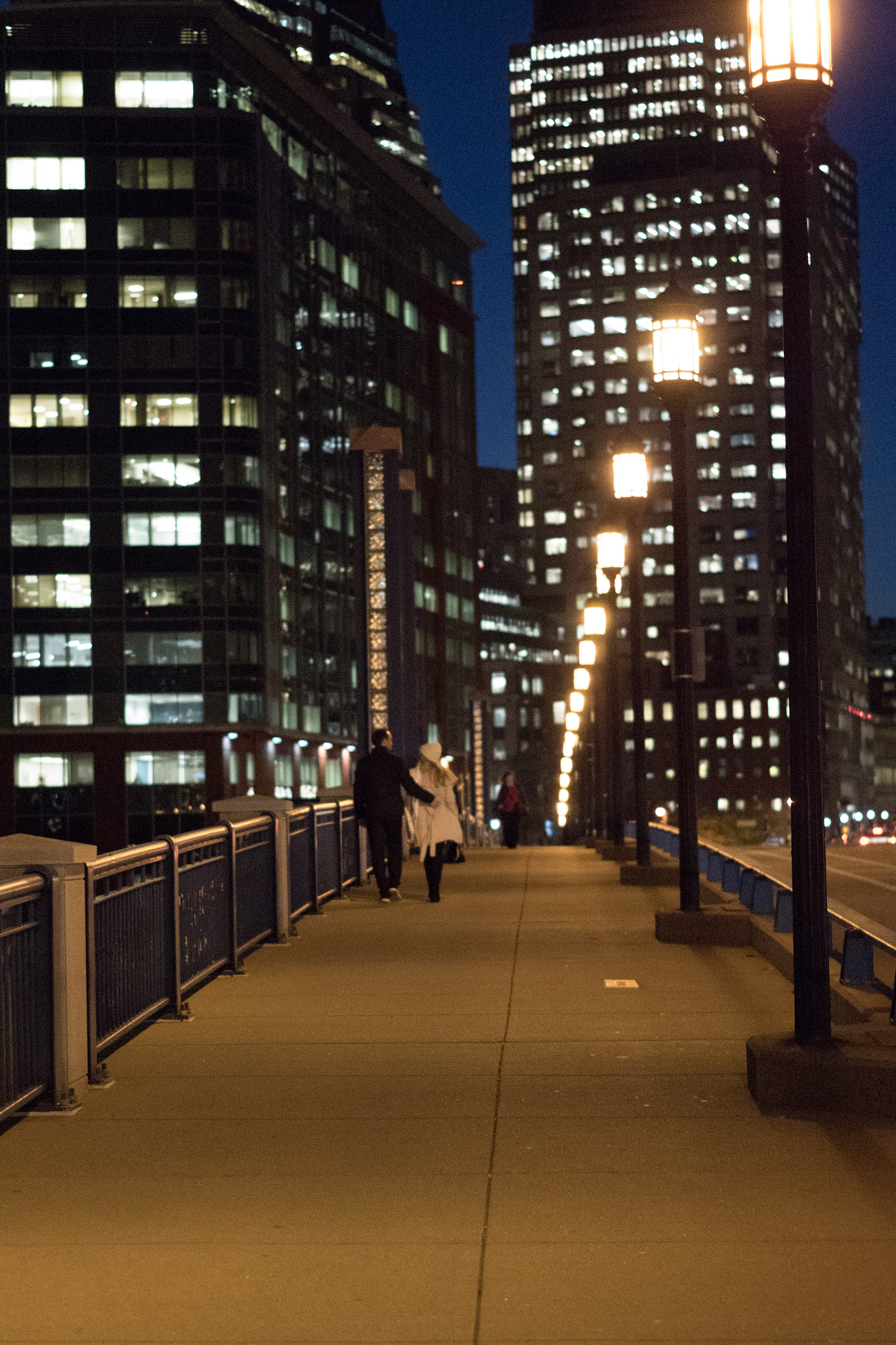 Pentax K-S2 + Pentax smc DA 50mm F1.8 sample photo. Evelyn moakley bridge photography