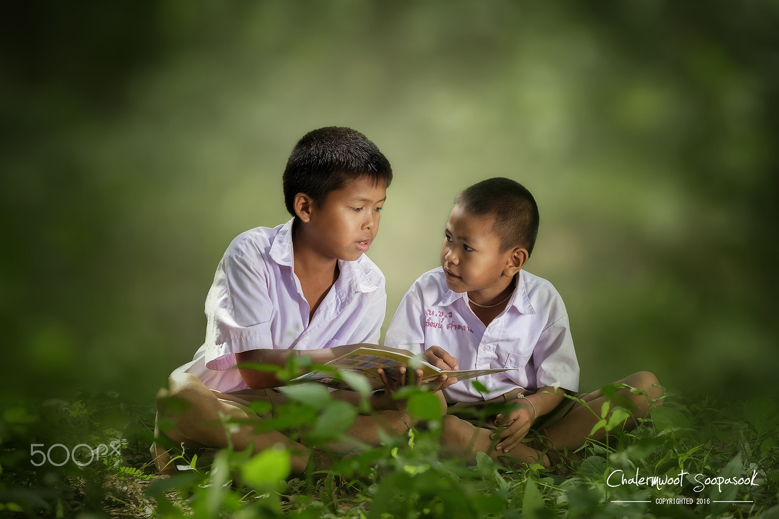 Fujifilm X-E2 + Fujifilm XF 50-140mm F2.8 R LM OIS WR sample photo. Young asian boy reading book to each other in the woods, countryside of thailand photography