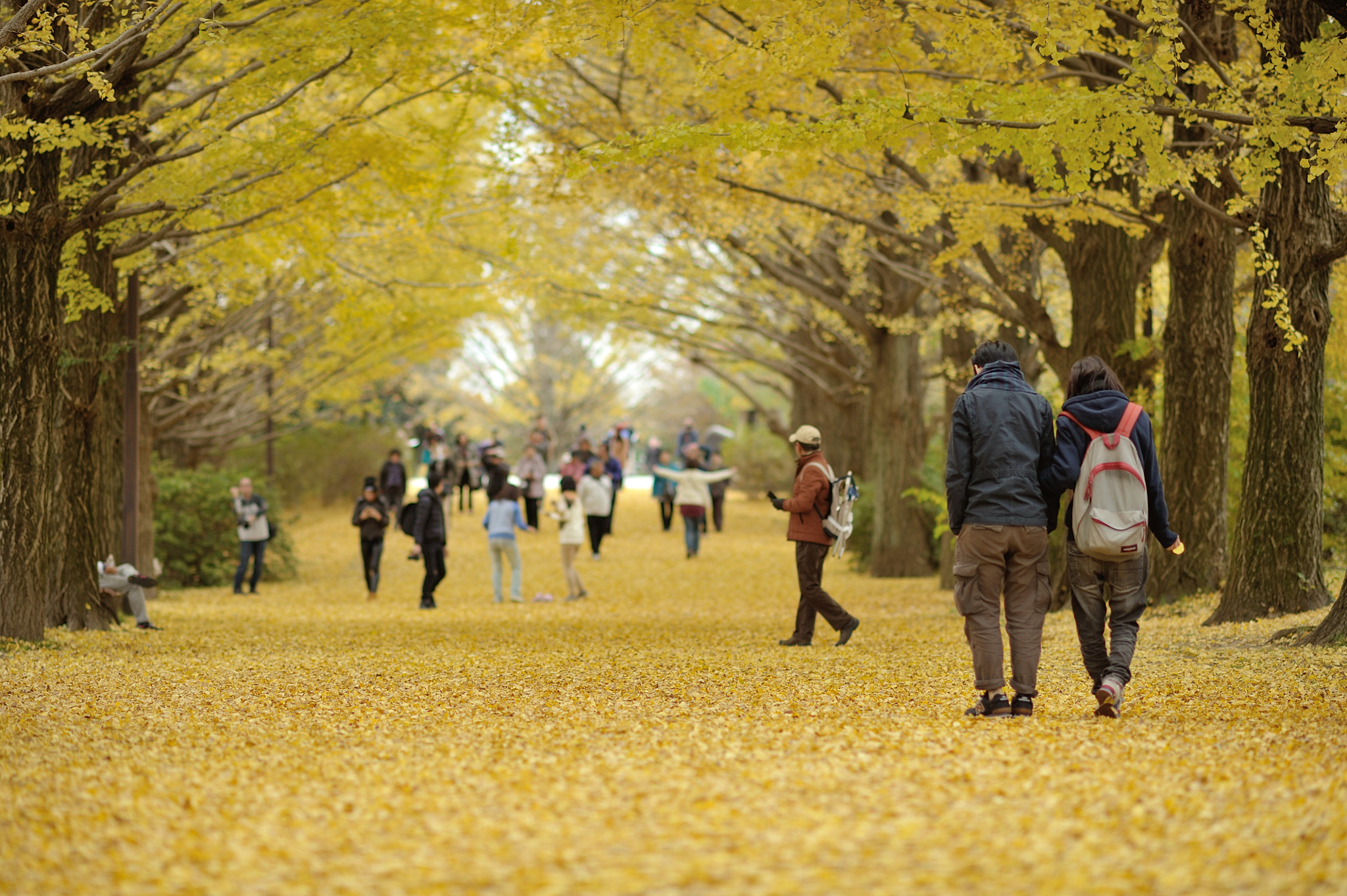 Nikon D700 sample photo. Autumn for tokyoites photography