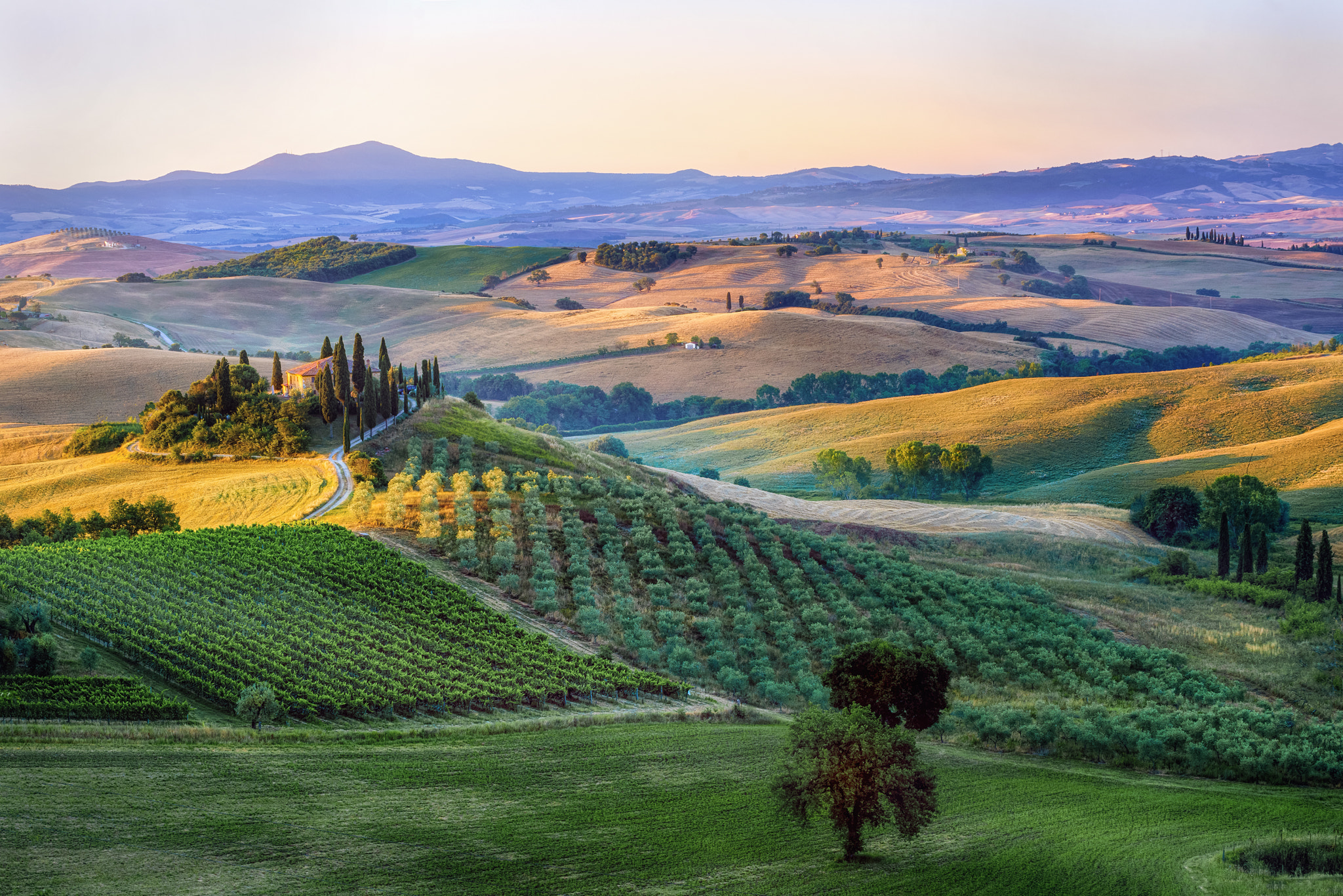 Sony a7R + Canon EF 70-200mm F4L USM sample photo. Podere belvedere photography