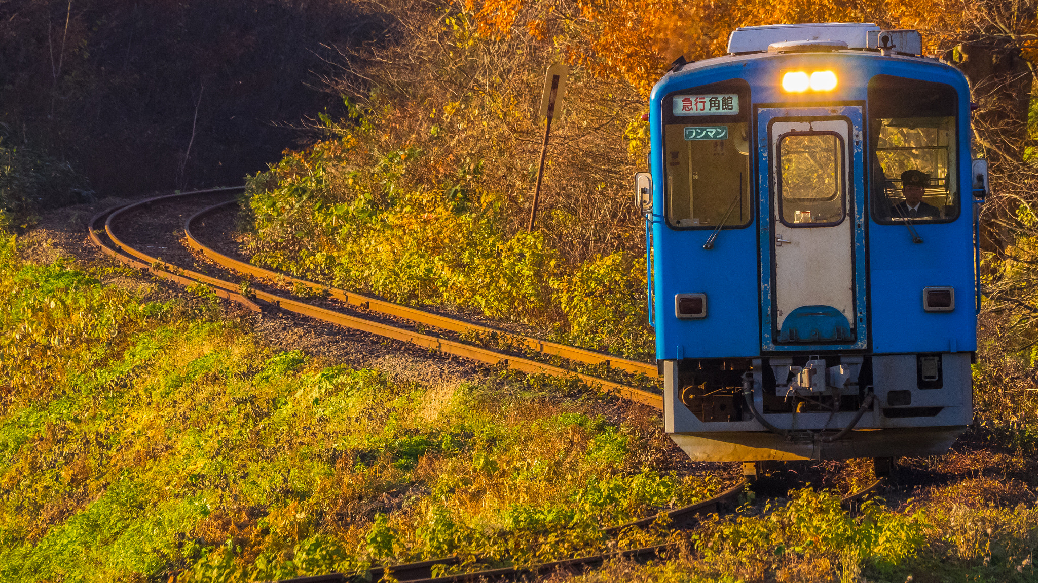 Olympus Zuiko Digital ED 70-300mm F4.0-5.6 sample photo. Autumn train photography