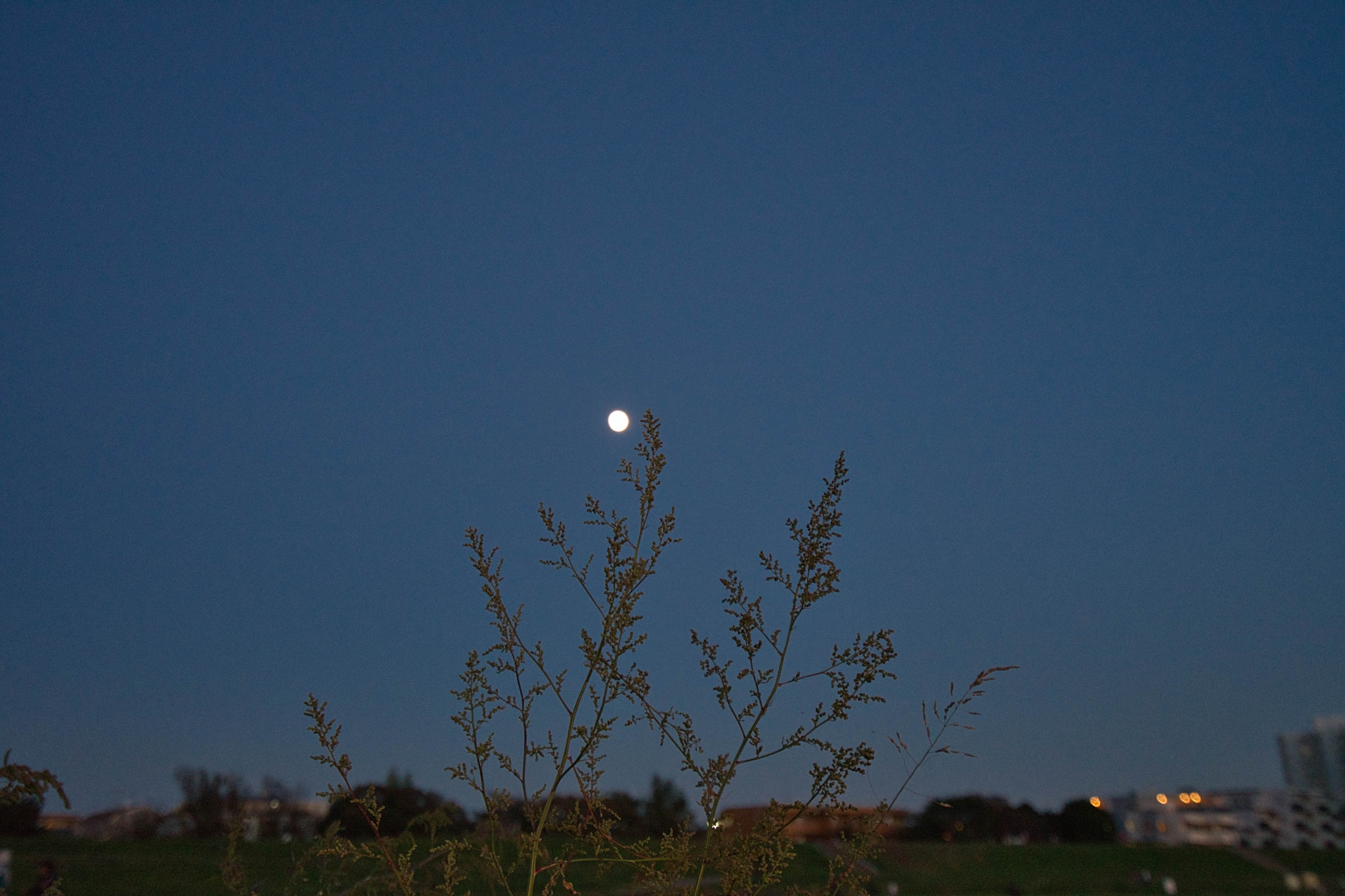 Sony a7 II + Sony Vario-Tessar T* FE 16-35mm F4 ZA OSS sample photo. After sunset photography