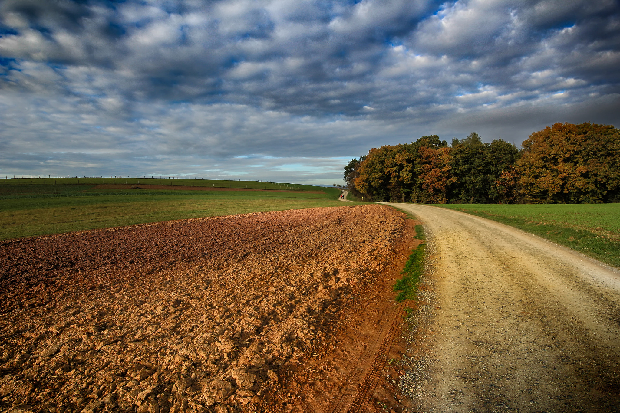 Canon EOS 60D + Sigma 12-24mm F4.5-5.6 II DG HSM sample photo. Countryroad photography