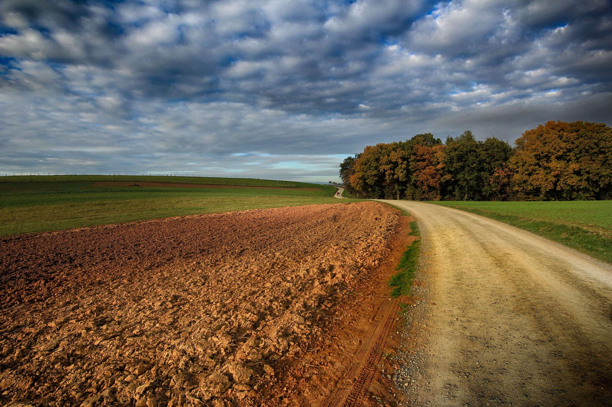 Sigma 12-24mm F4.5-5.6 II DG HSM sample photo. Countryroad photography
