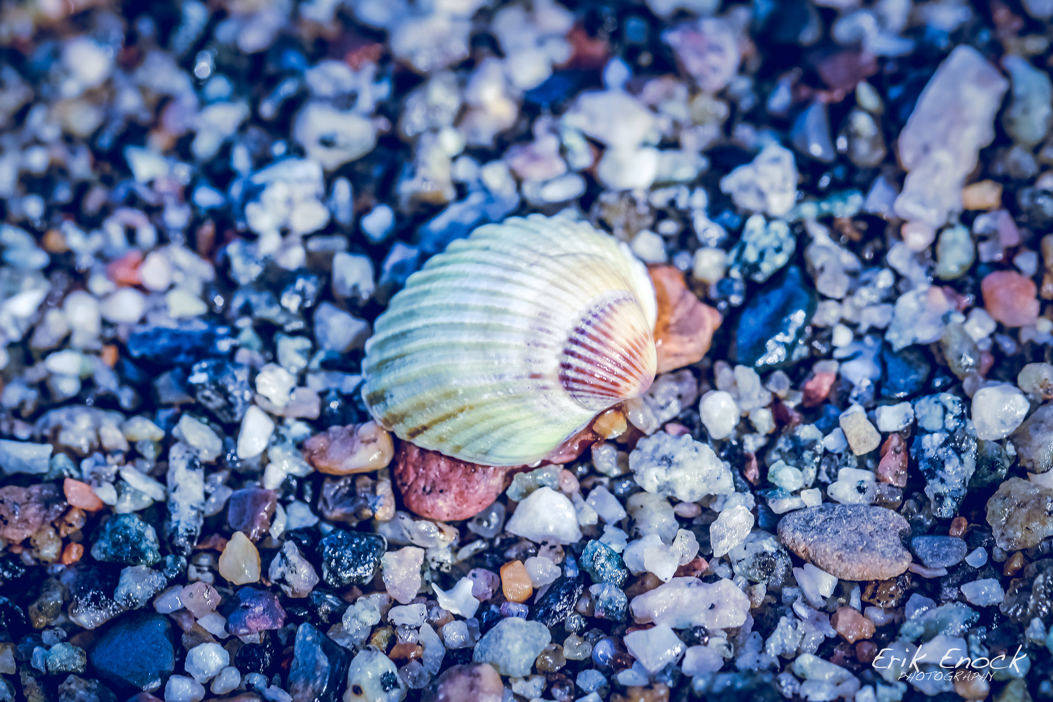 Canon EF 100mm F2.8L Macro IS USM sample photo. . photography