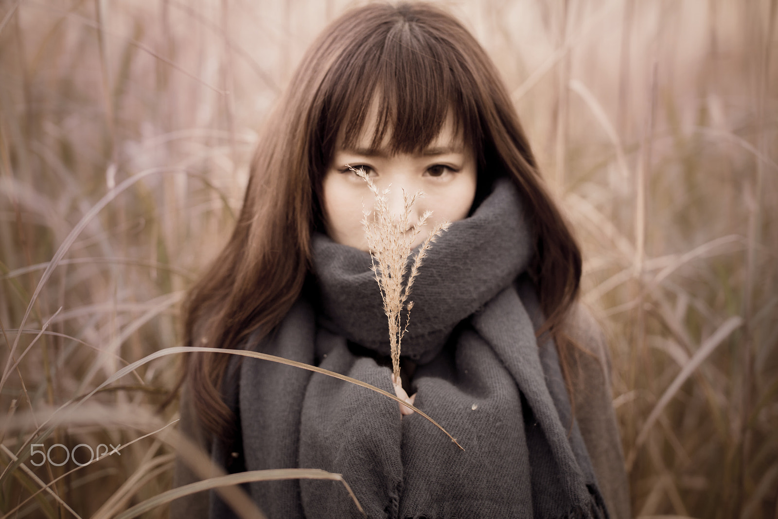 Sigma 50mm F1.4 EX DG HSM sample photo. Eri　in the meadow, she prays for fruit photography