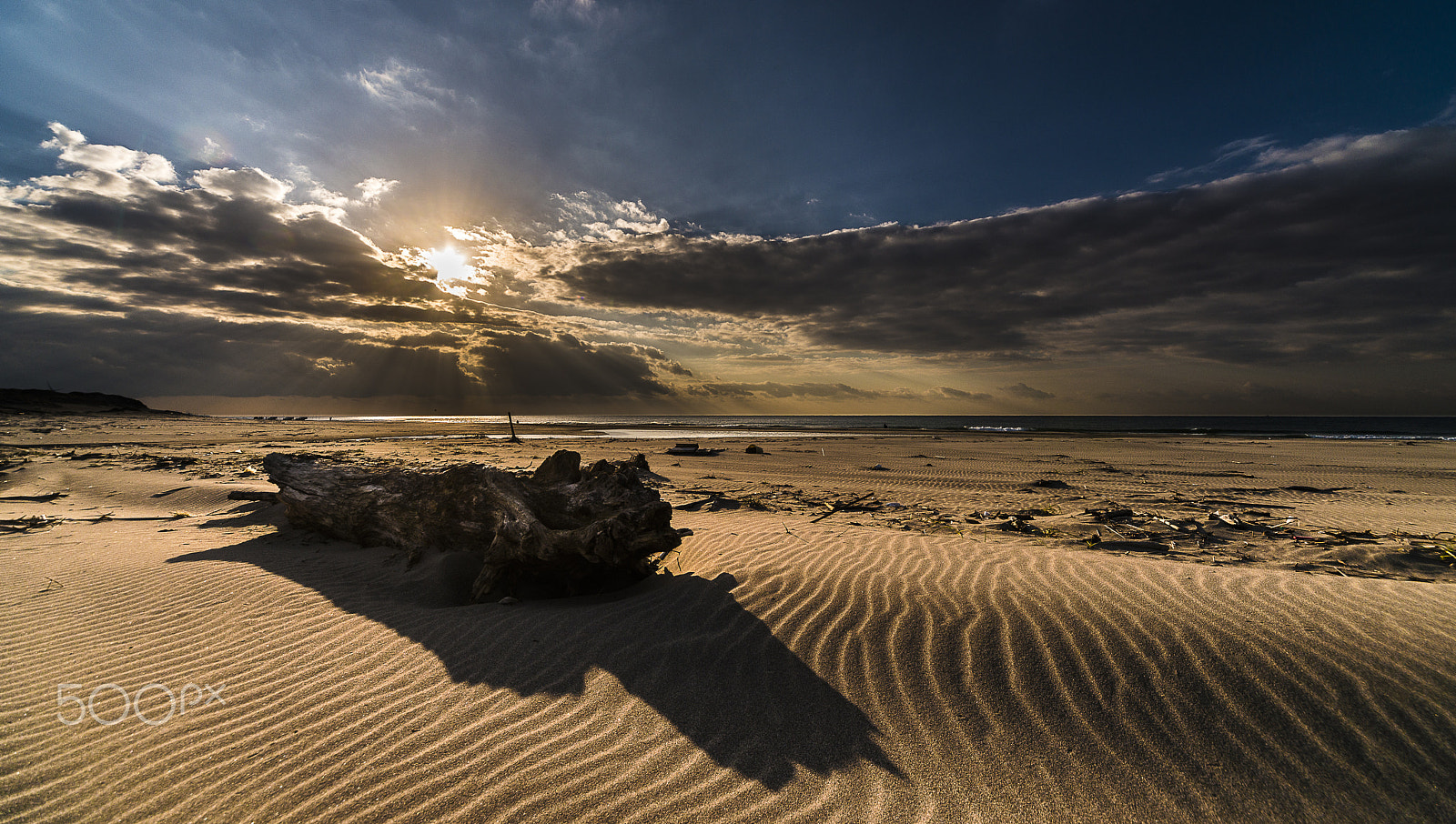 Nikon D800 + Sigma 12-24mm F4.5-5.6 EX DG Aspherical HSM sample photo. Morning sunshine photography