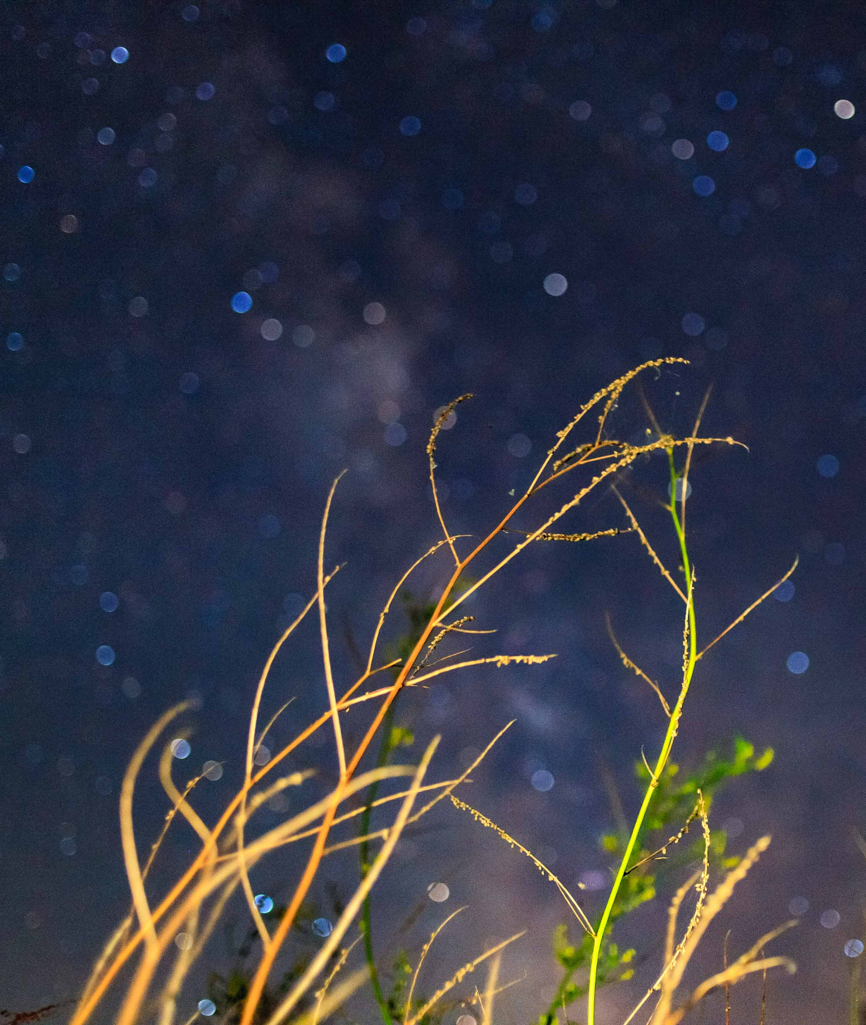 Canon EOS 5D + Canon EF 35mm F2 sample photo. Orbs of light photography