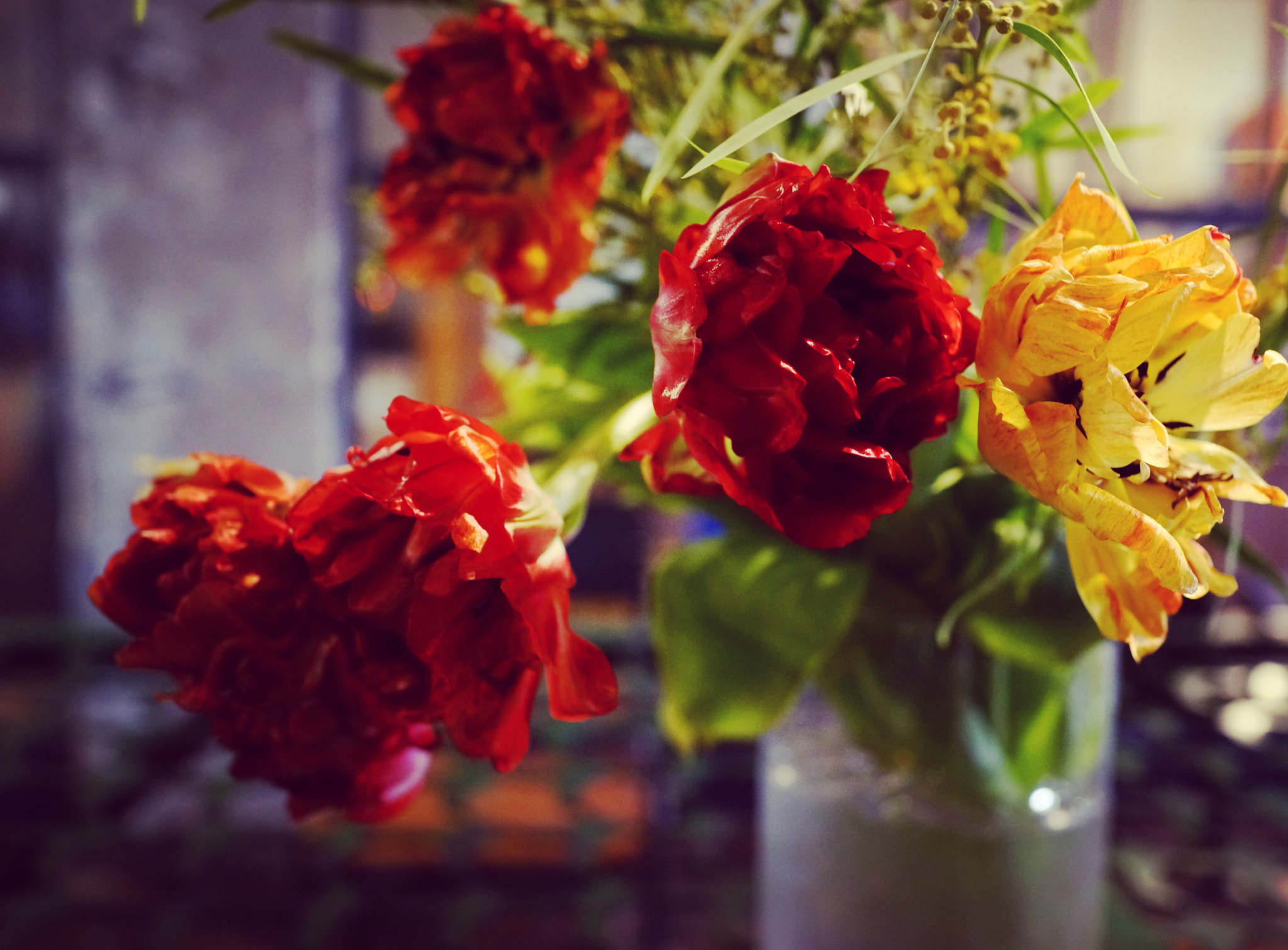 Sony 35mm F2.0 sample photo