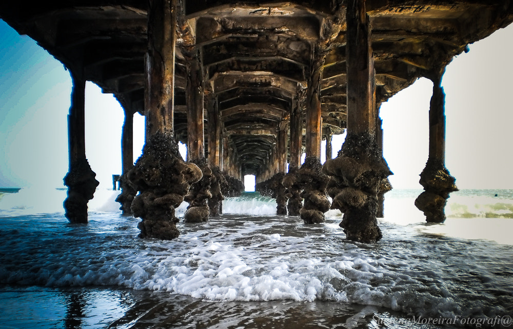 Olympus T110,X37 sample photo. Bridge photography
