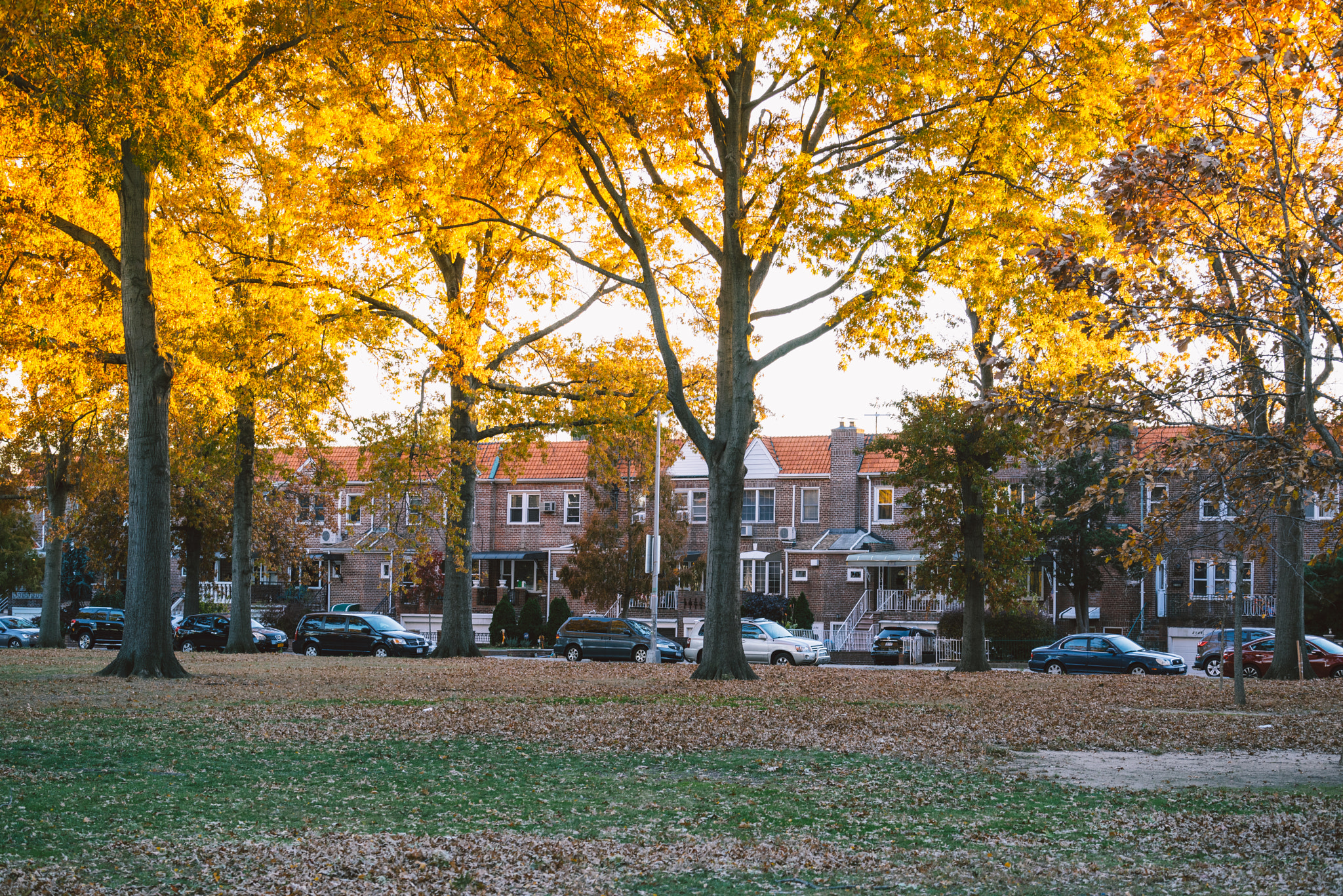 Sony FE 70-300mm F4.5-5.6 G OSS sample photo. Brooklyn gold photography
