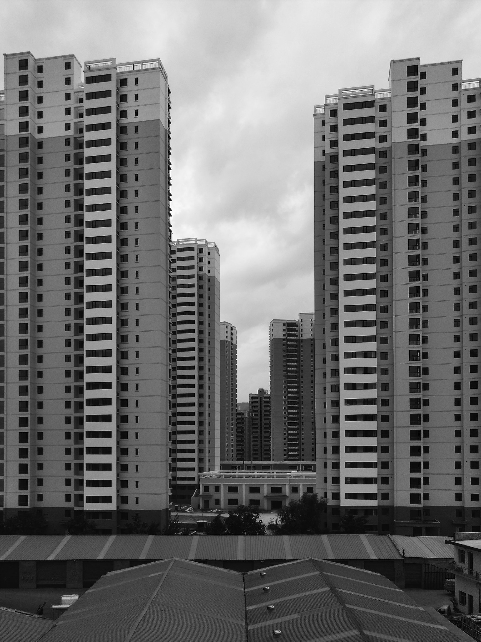 nubia Z11 MINI sample photo. 排排对 photography