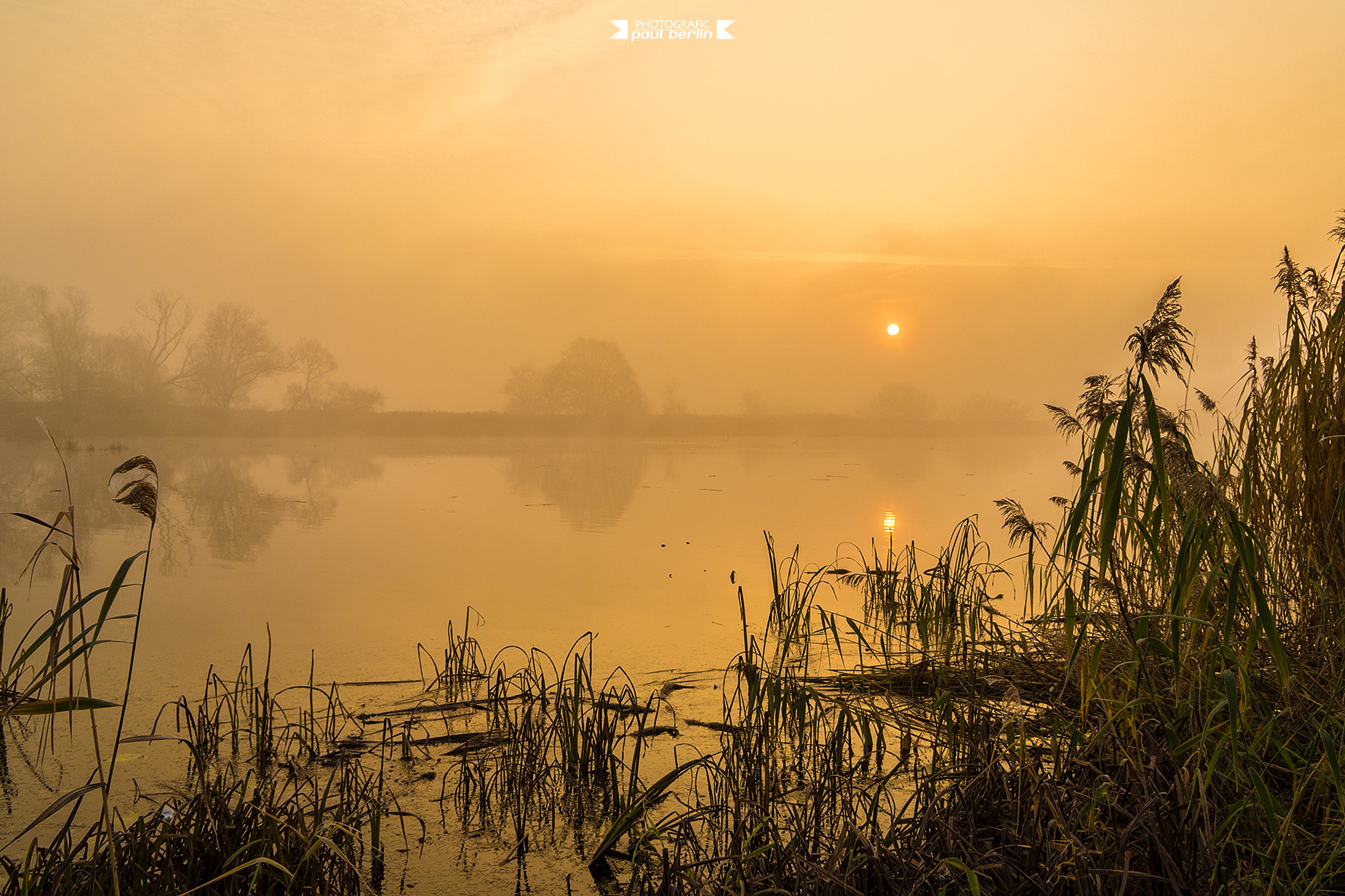 Sony E 18-200mm F3.5-6.3 OSS sample photo. Morning mist photography