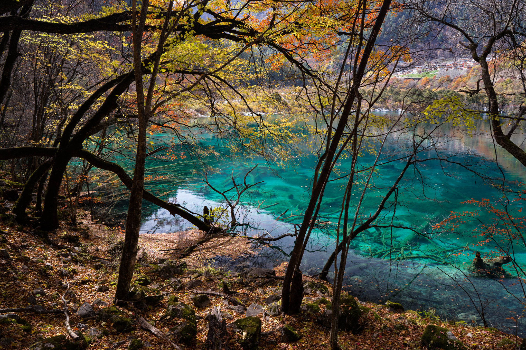 Sony a7 II + ZEISS Batis 25mm F2 sample photo. Colorful photography