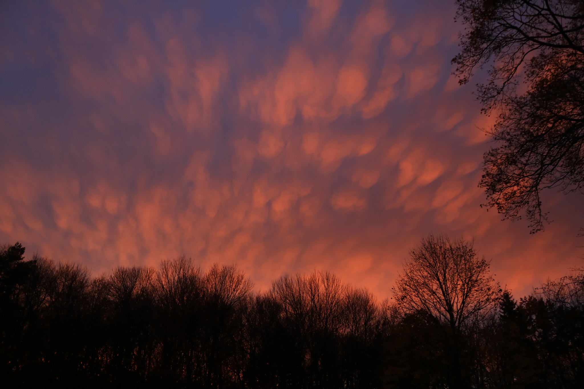Canon EOS 750D (EOS Rebel T6i / EOS Kiss X8i) sample photo. Brushing the sky photography