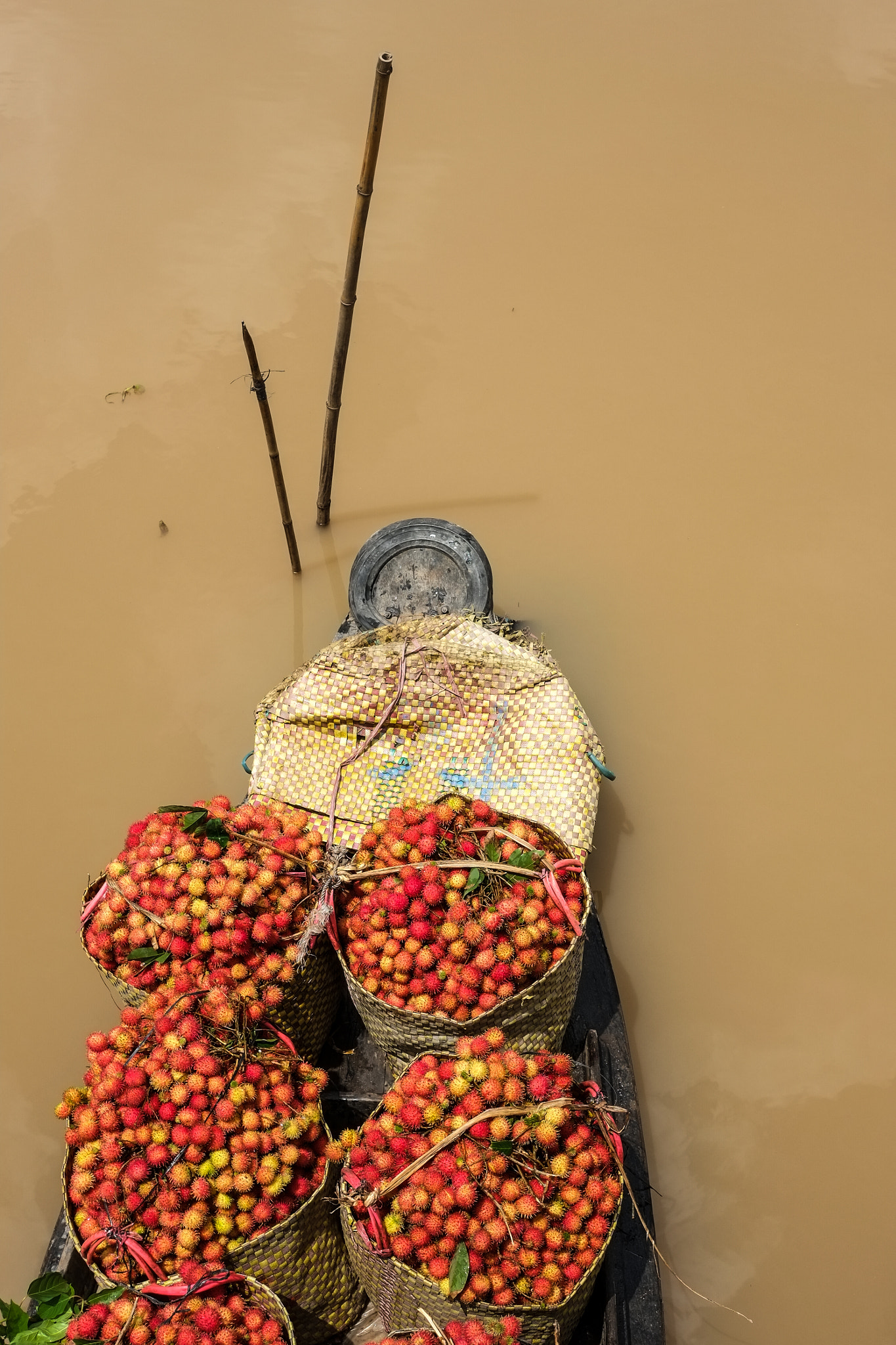 Fujifilm X-Pro1 sample photo. Rambutan boat mekong delta photography