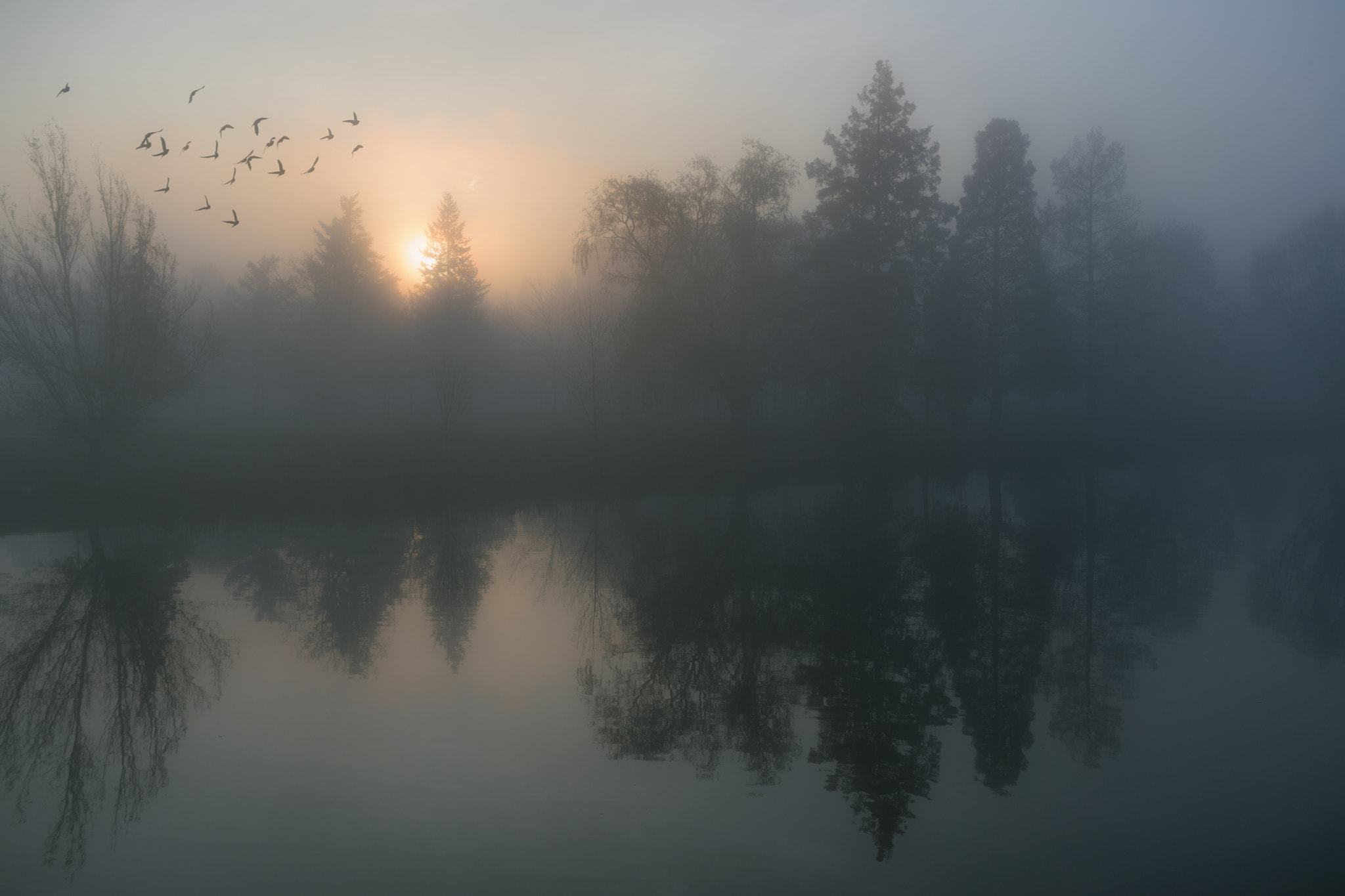 Nikon D5500 + Sigma 18-35mm F1.8 DC HSM Art sample photo. Misty morning photography