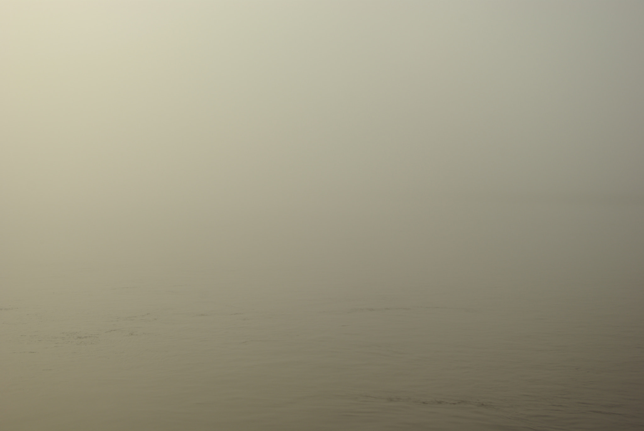 Pentax smc DA 18-55mm F3.5-5.6 AL WR sample photo. Foggy morning in savannah photography