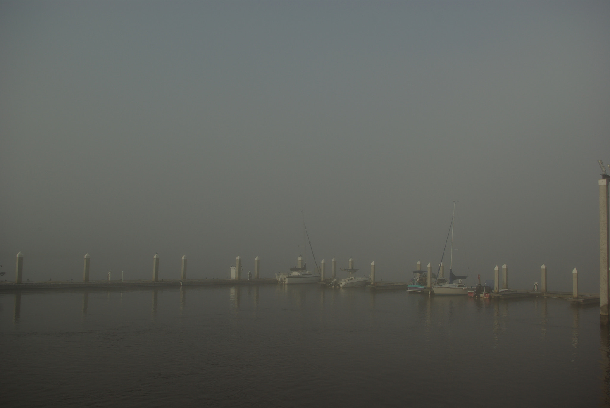 Pentax smc DA 18-55mm F3.5-5.6 AL WR sample photo. Foggy morning in savannah photography