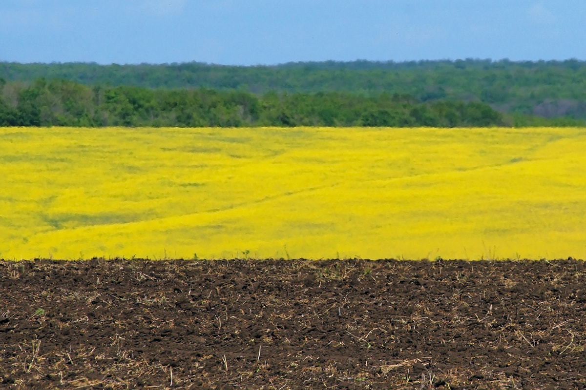 Sony a99 II sample photo. Colorful landscape photography