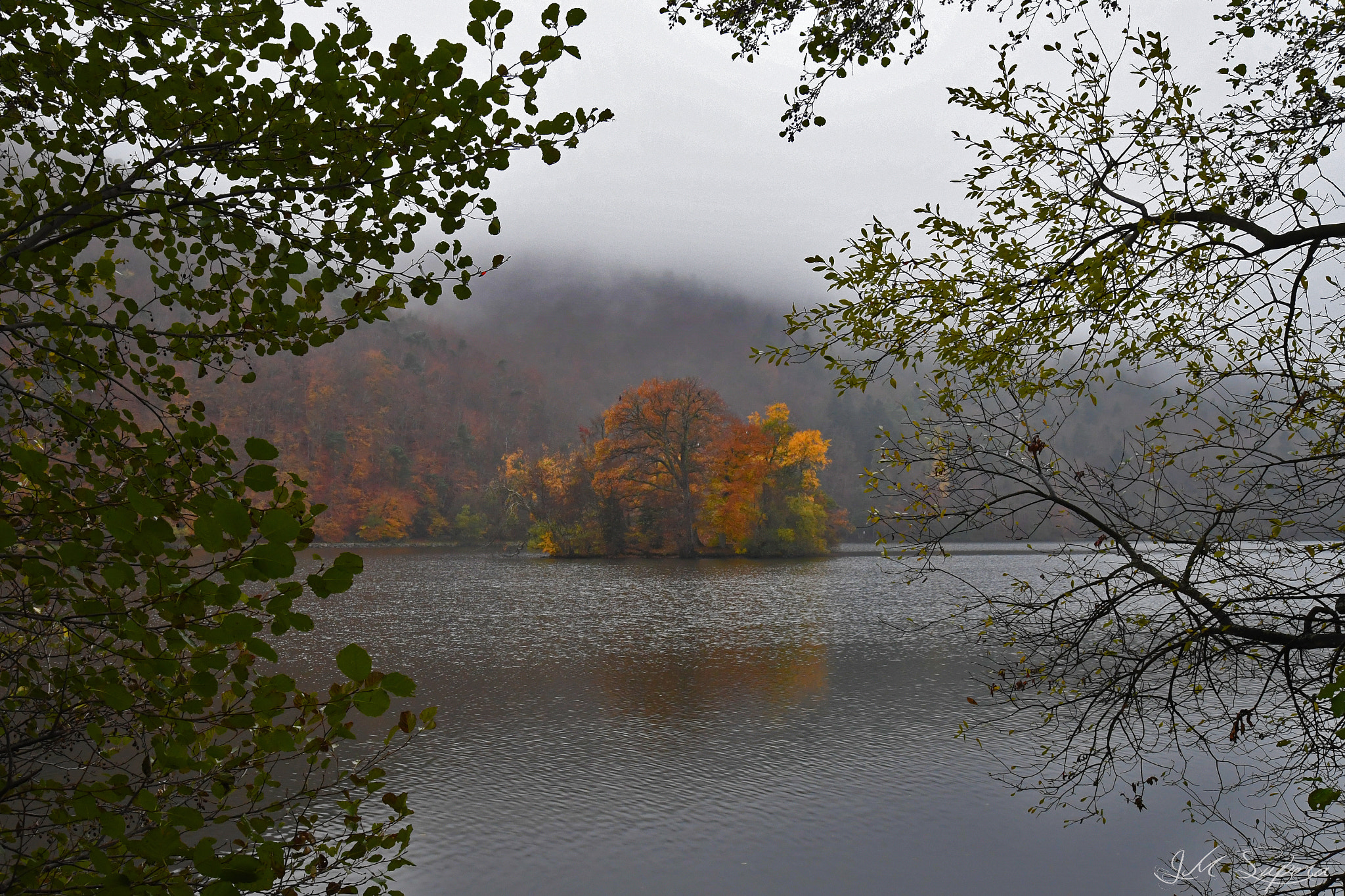 Nikon D5 + Sigma 24-105mm F4 DG OS HSM Art sample photo. Novembre en auvergne photography