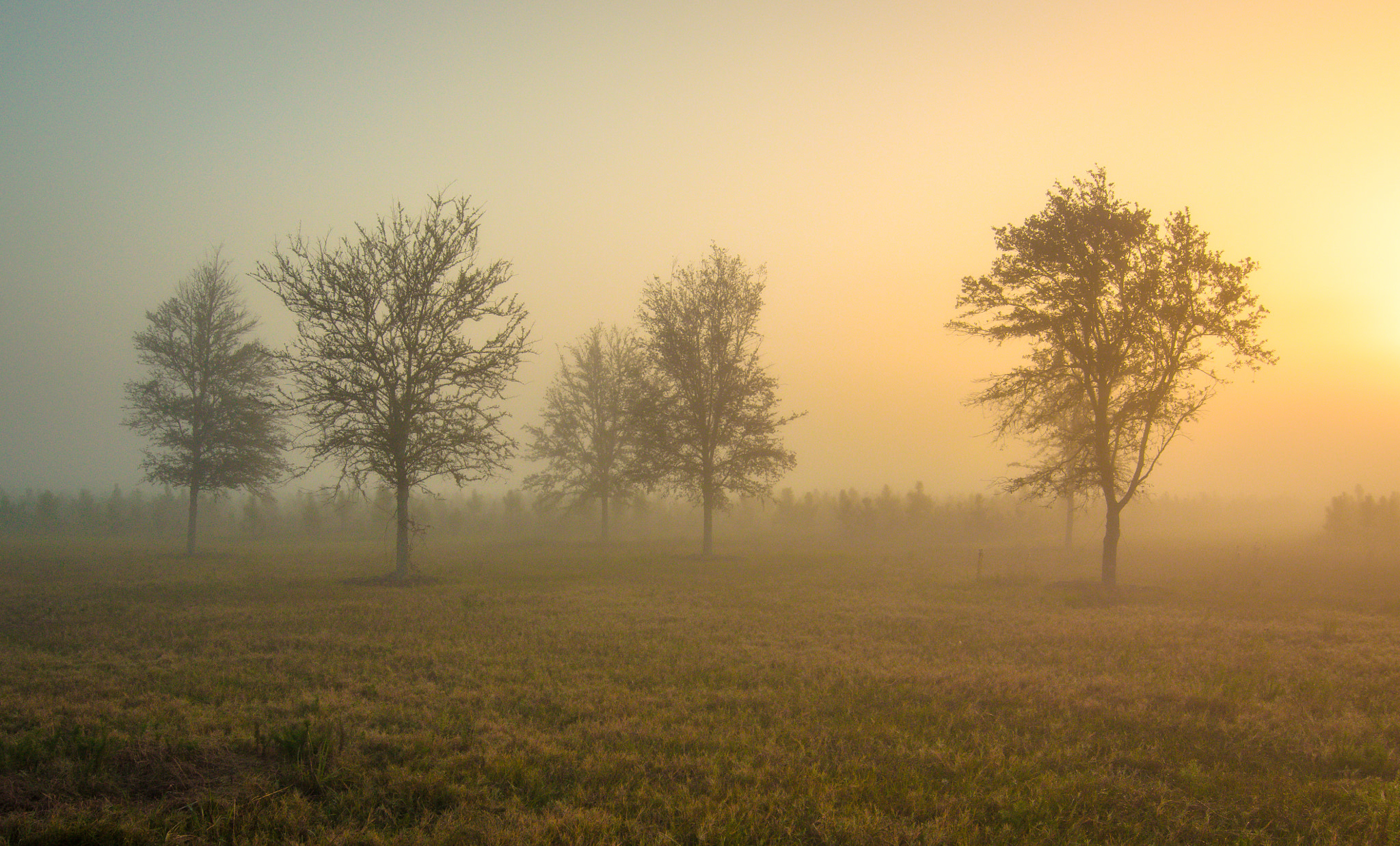 Tokina AT-X Pro 12-24mm F4 (IF) DX sample photo. Sunrise photography