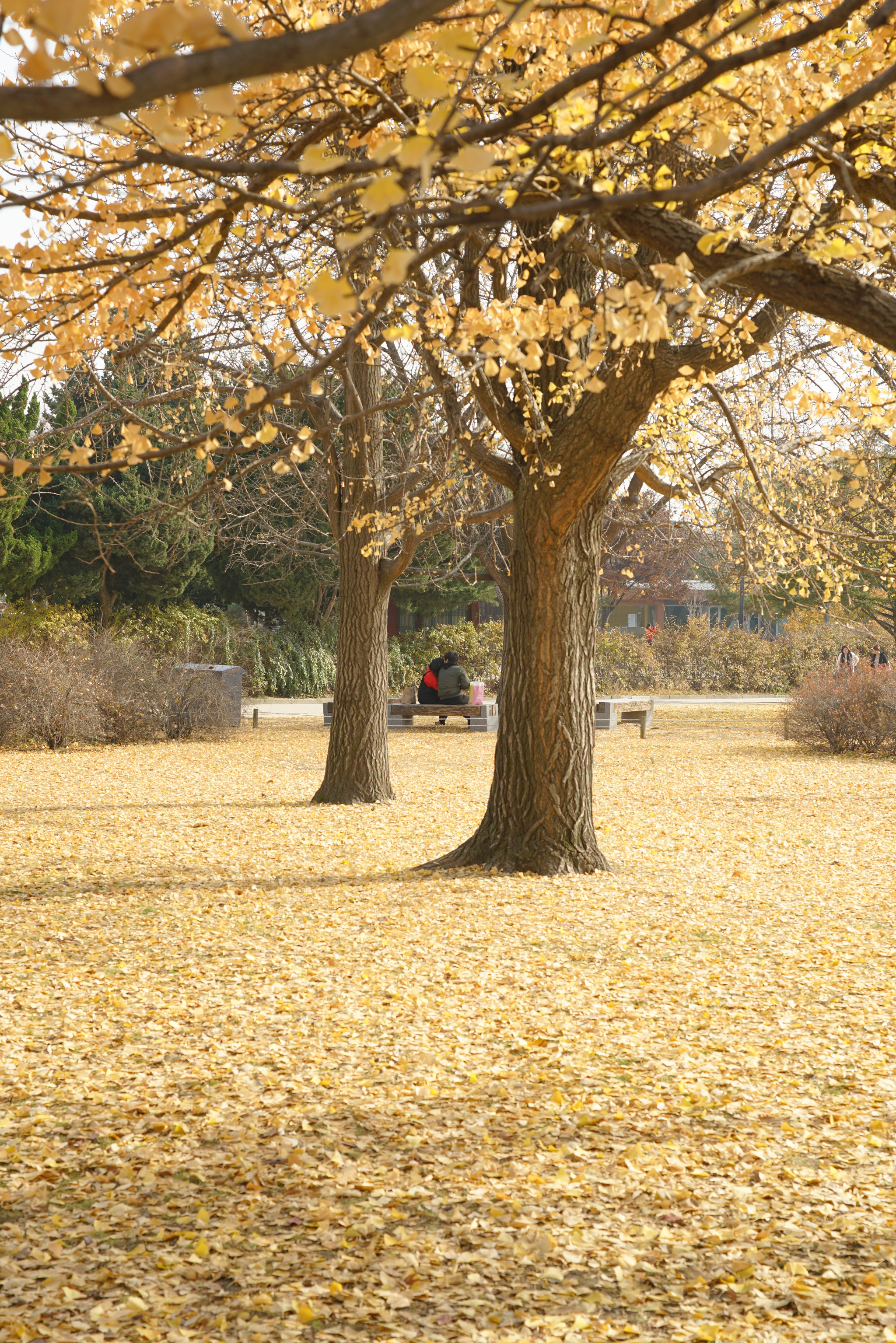 Sigma 28-70mm F2.8 EX DG sample photo. Just the two of us photography