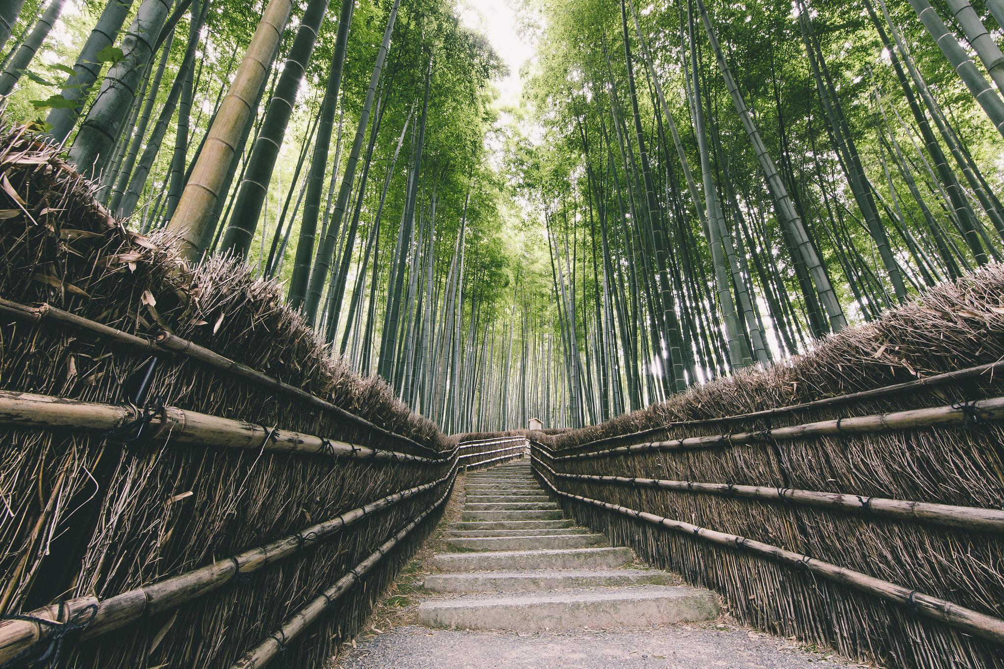 Canon EF 14mm F2.8L II USM sample photo. Kakajin photography