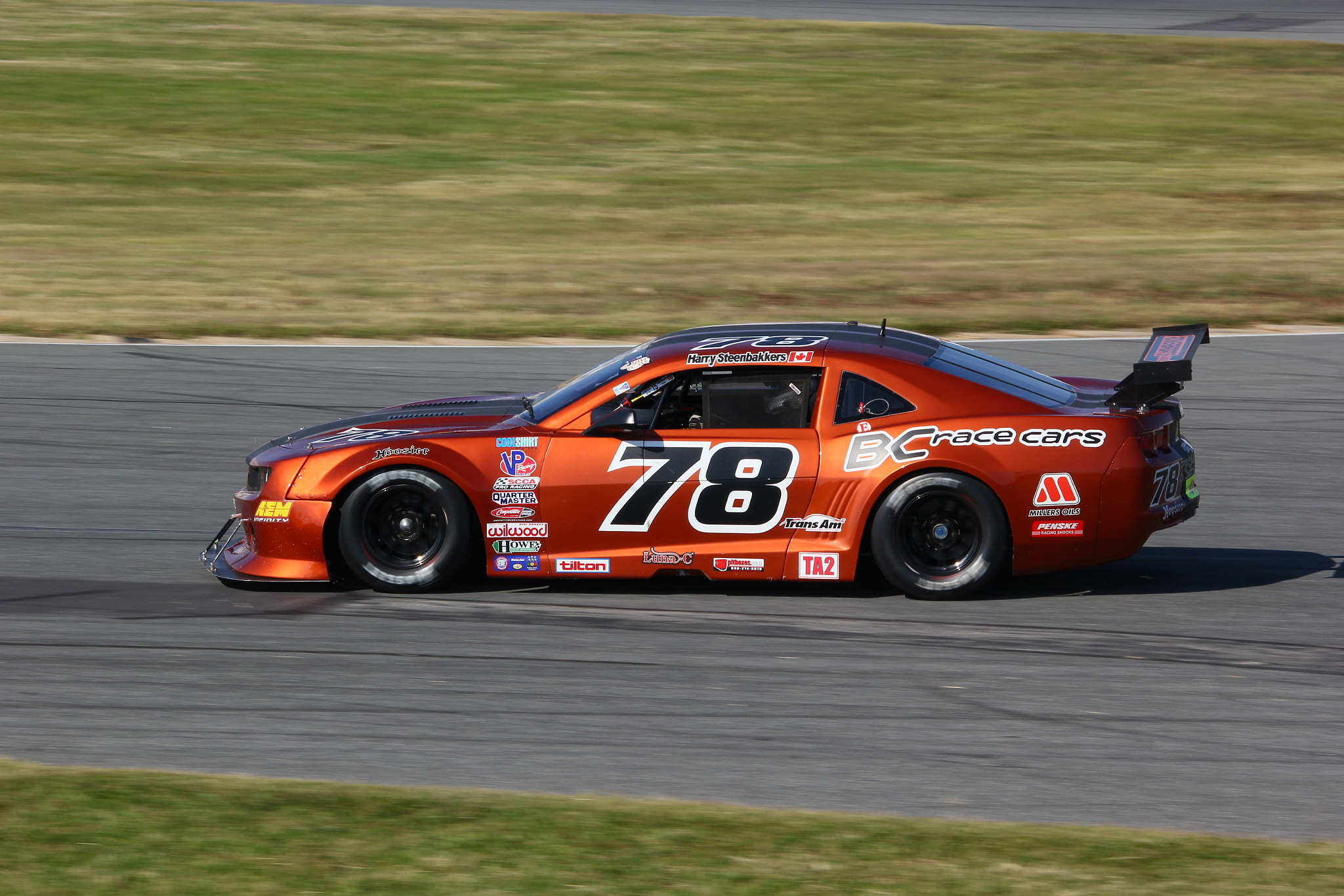 Sigma 150-500mm F5-6.3 DG OS HSM sample photo. Img photography