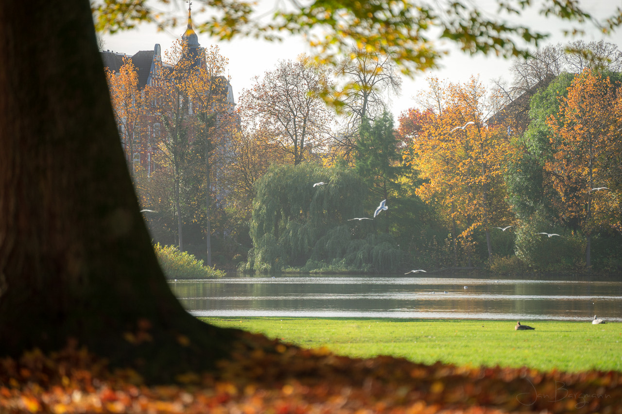 Sony FE 70-300mm F4.5-5.6 G OSS sample photo. Stadtpark kiel photography