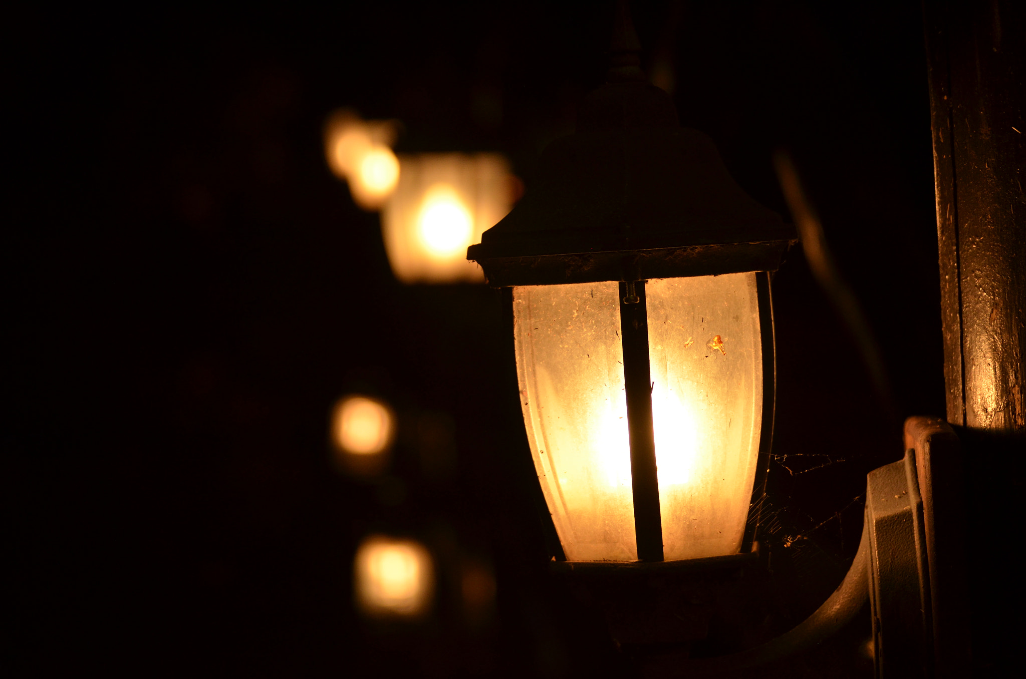 Nikon D5100 + Sigma 70-300mm F4-5.6 DG OS sample photo. Light in the dark photography