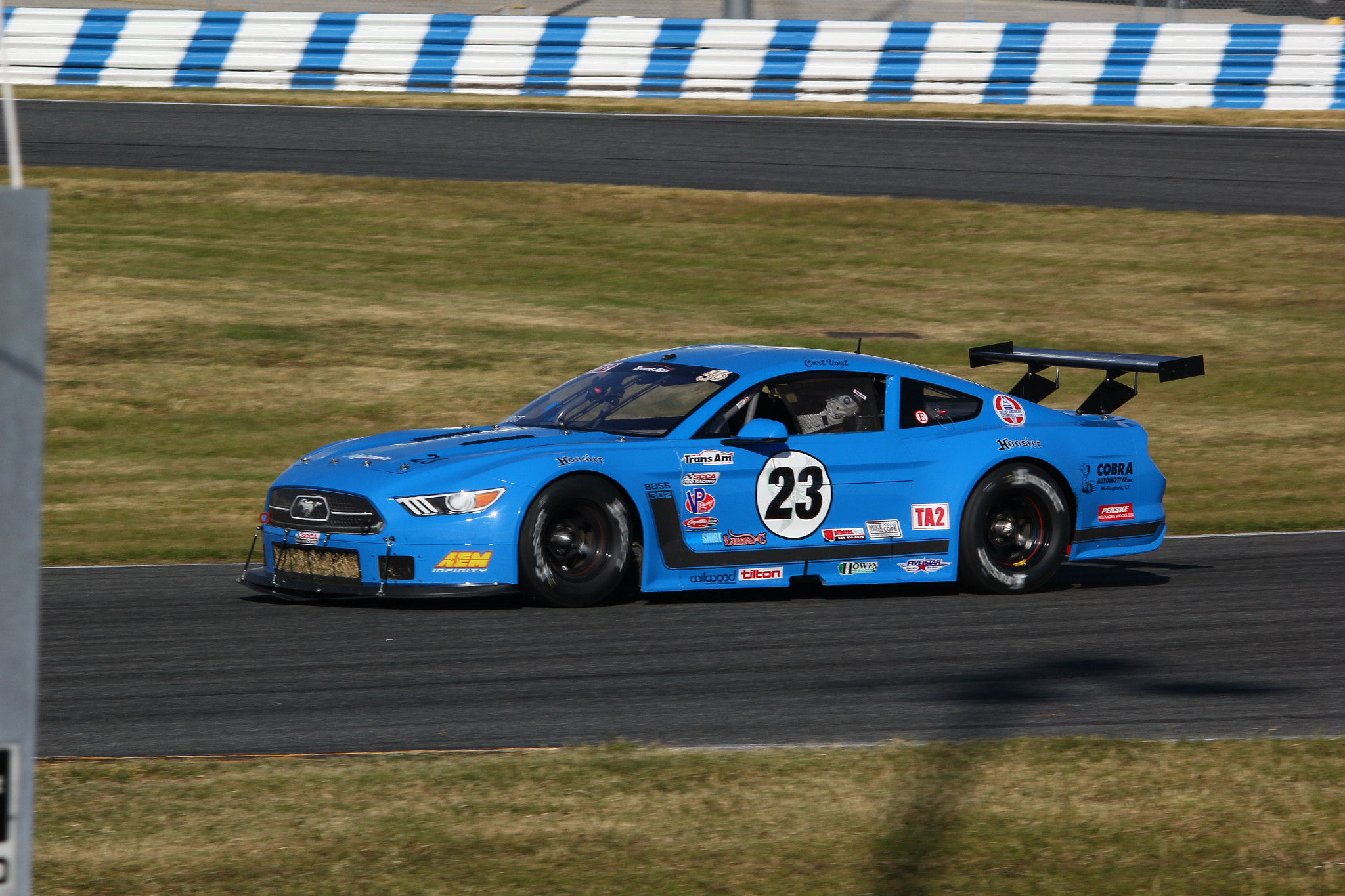 Sigma 150-500mm F5-6.3 DG OS HSM sample photo. Img photography