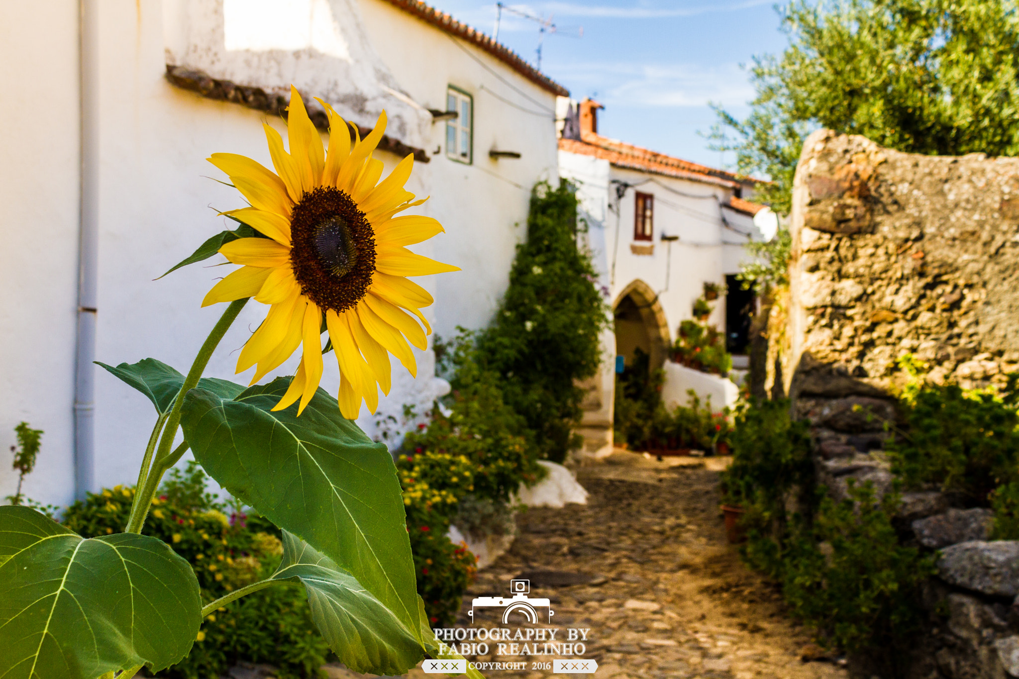 Canon EF-S 18-55mm F3.5-5.6 III sample photo. Castelo de vide photography