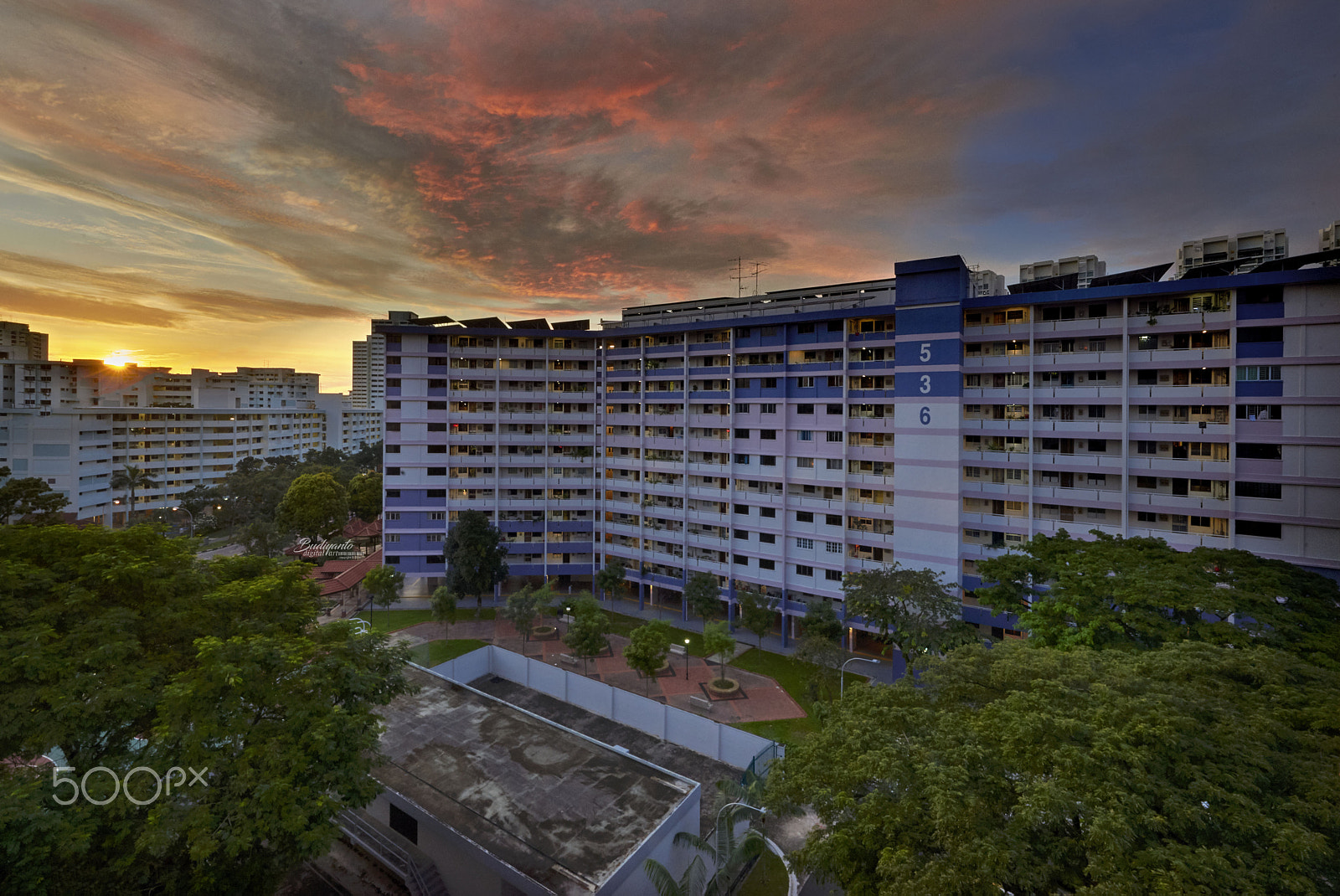 Nikon AF-S Nikkor 14-24mm F2.8G ED sample photo. Colorful way to start a day photography