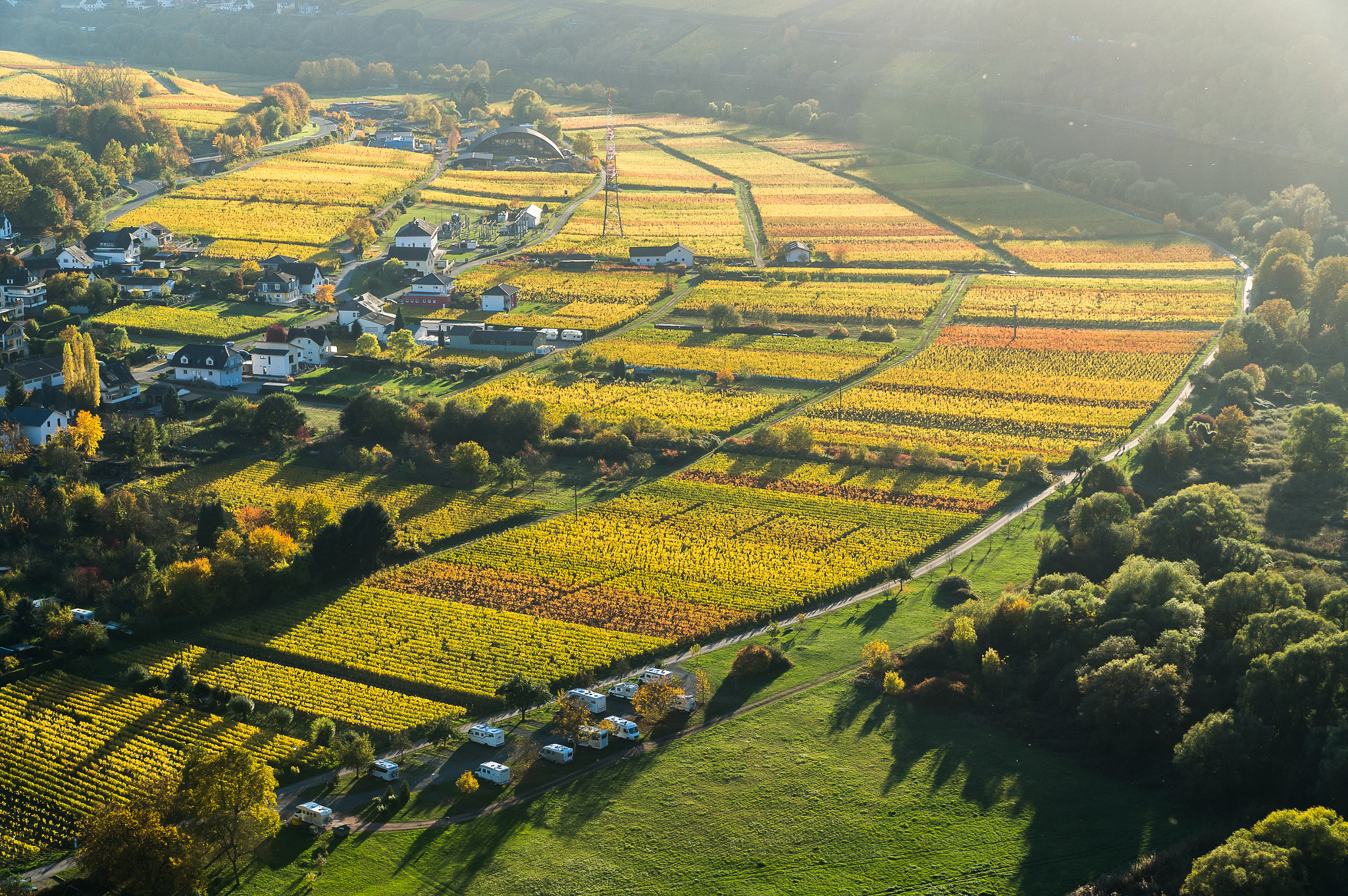Sony Alpha NEX-6 + Sony E PZ 18-105mm F4 G OSS sample photo. Vineyard in the late afternoon photography