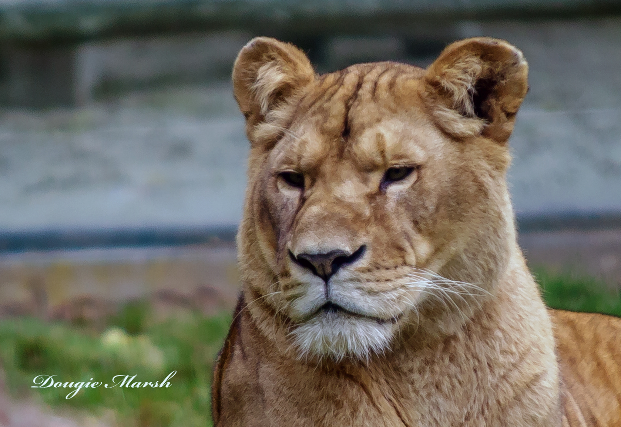 Sigma 70-200mm F2.8 EX DG OS HSM sample photo