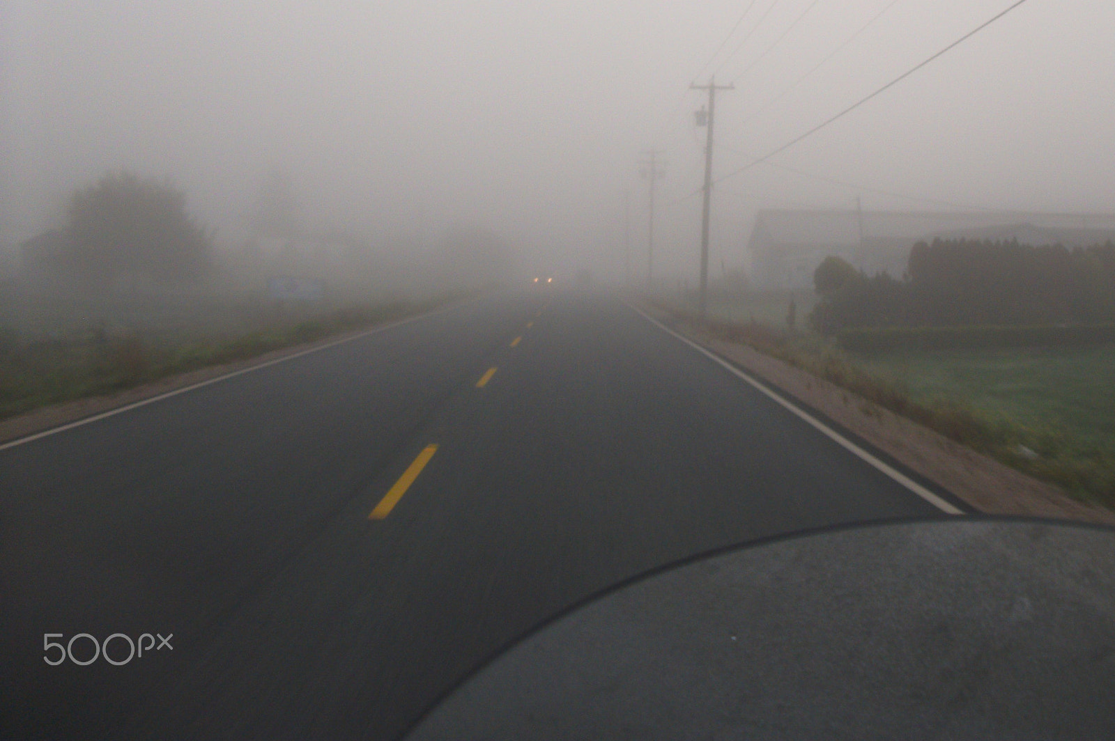 Fujifilm A220 A230 sample photo. Into the fog photography