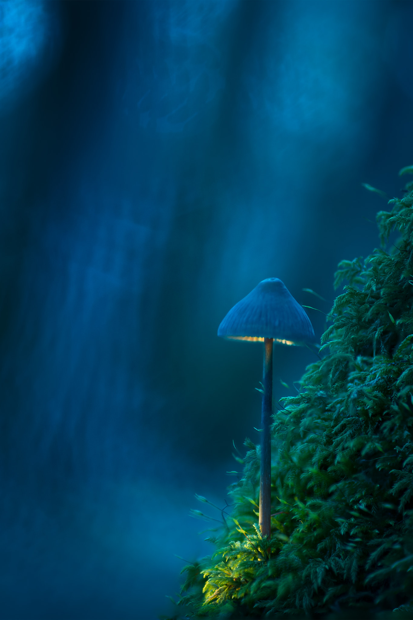 Canon EOS 6D + Tamron SP AF 90mm F2.8 Di Macro sample photo. Lecture photography