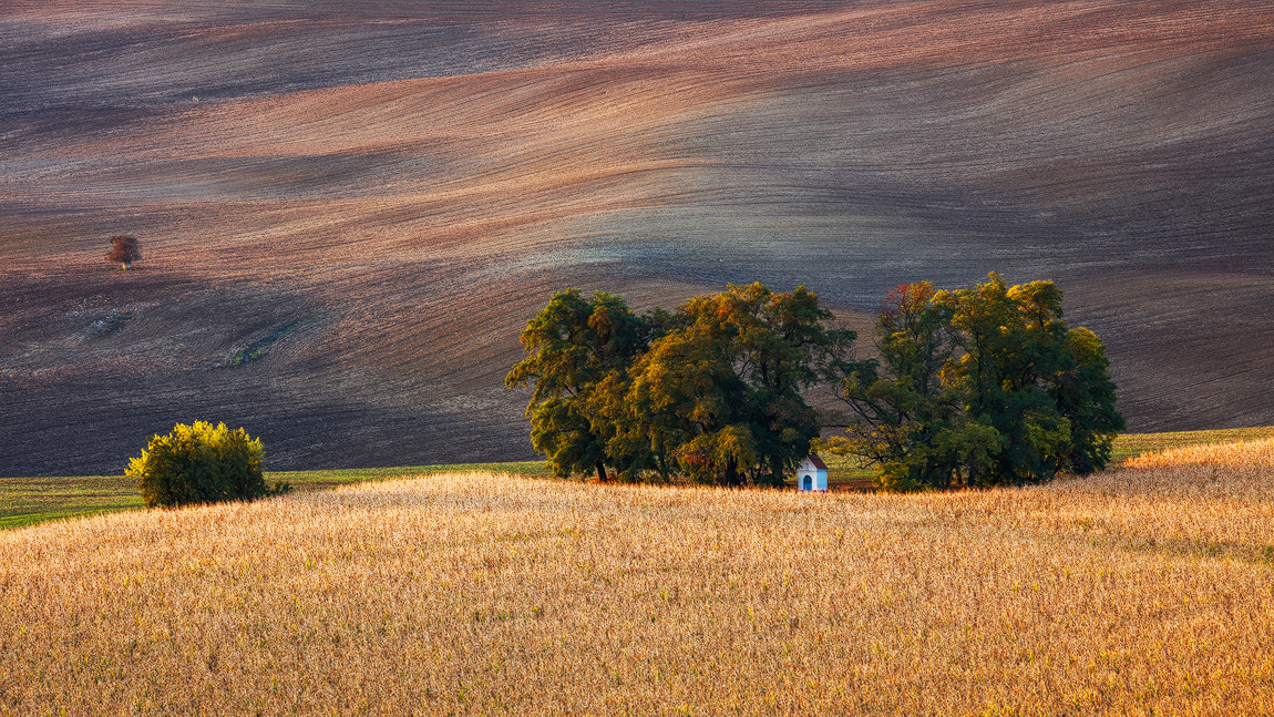 Canon EF 70-300mm F4-5.6L IS USM sample photo. Chapel in the corn field photography