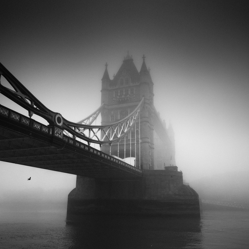 Take Flight by Vulture Labs on 500px.com