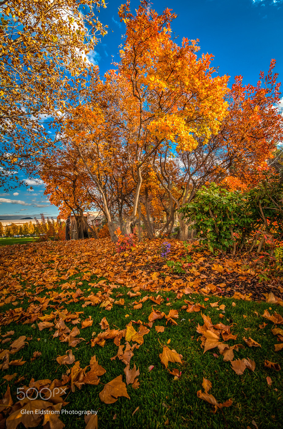 Nikon D300 sample photo. The last days of autumn photography