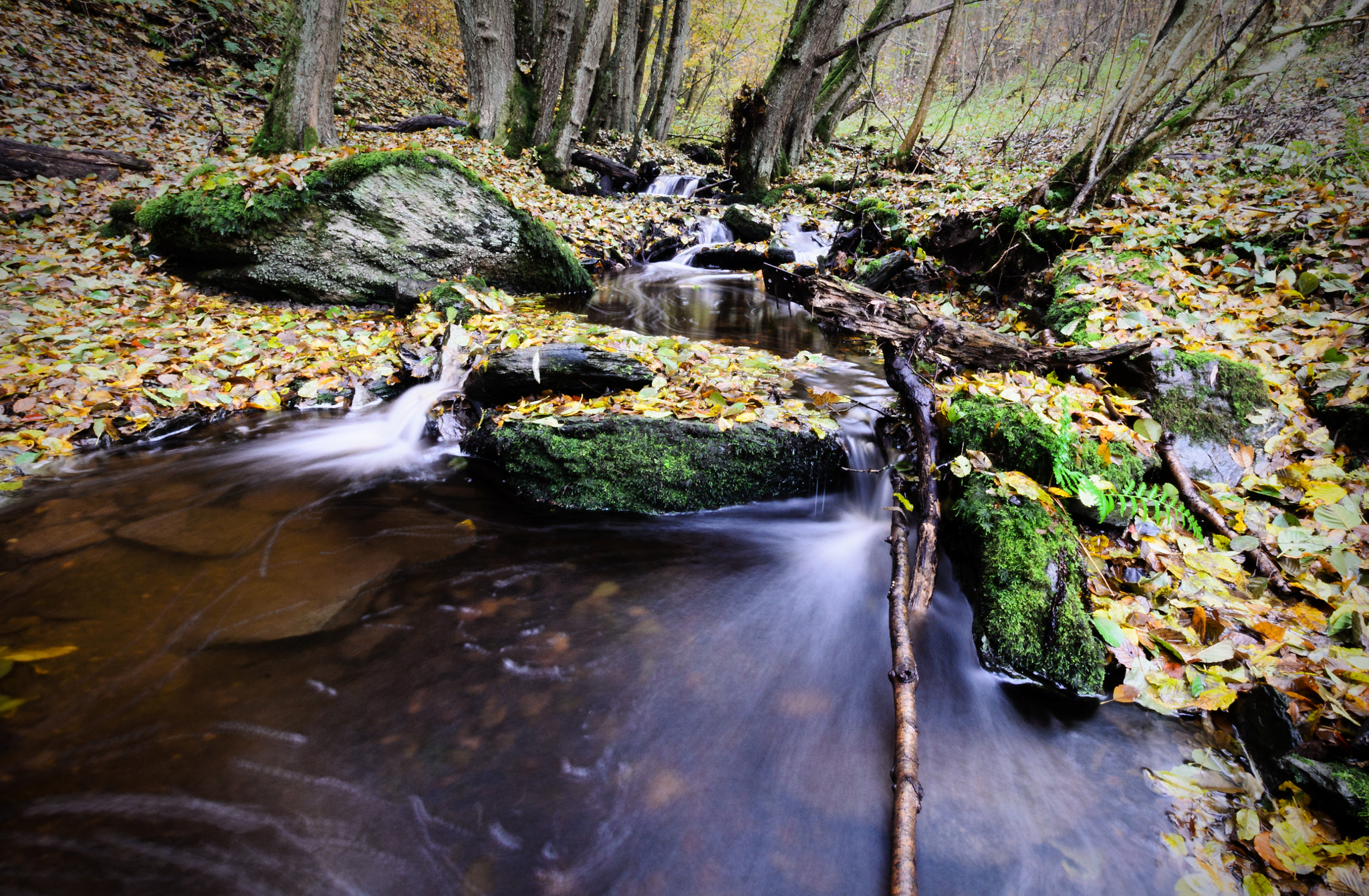 Nikon D5100 + Sigma 10-20mm F3.5 EX DC HSM sample photo. The brook photography